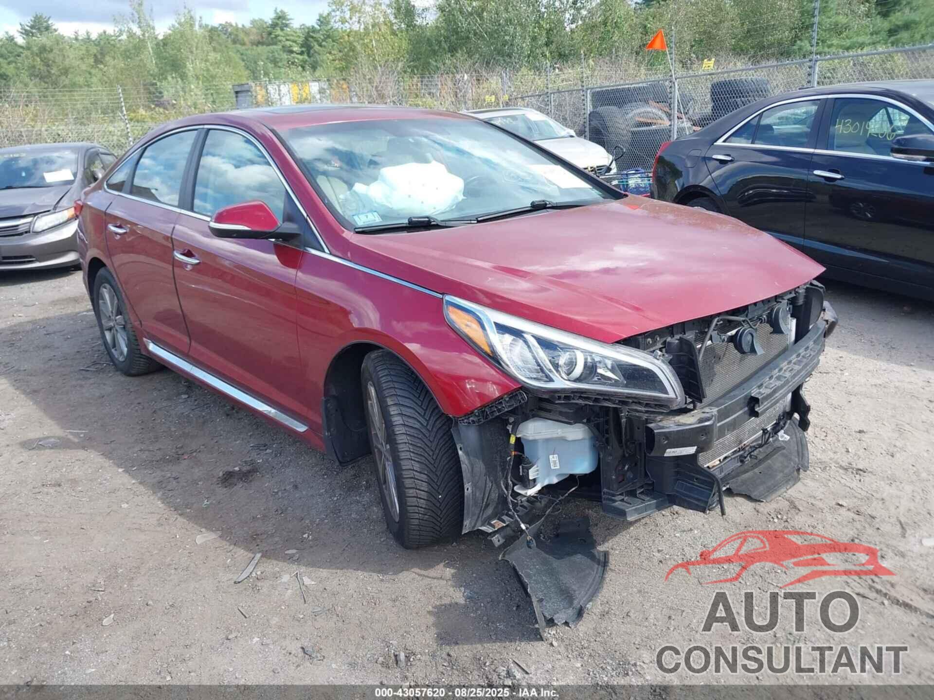 HYUNDAI SONATA 2016 - 5NPE34AF5GH434337