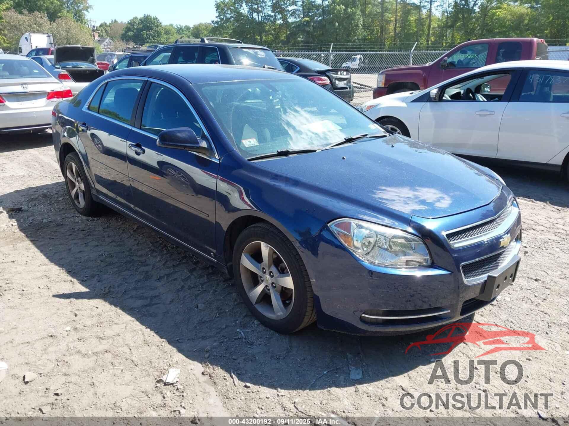 CHEVROLET MALIBU 2011 - 1G1ZC5E12BF373840