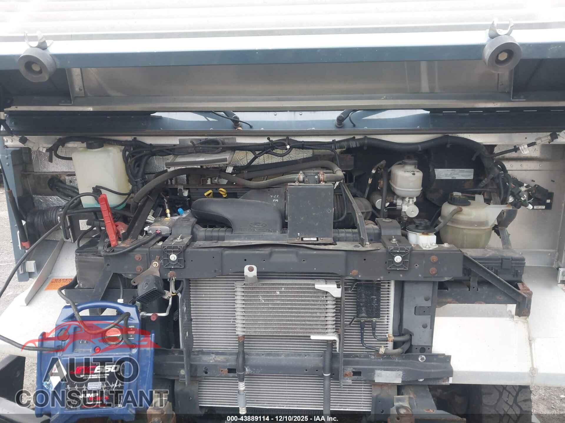 FORD E-450 STRIPPED 2019 - 1FC3E4K66KDC48384