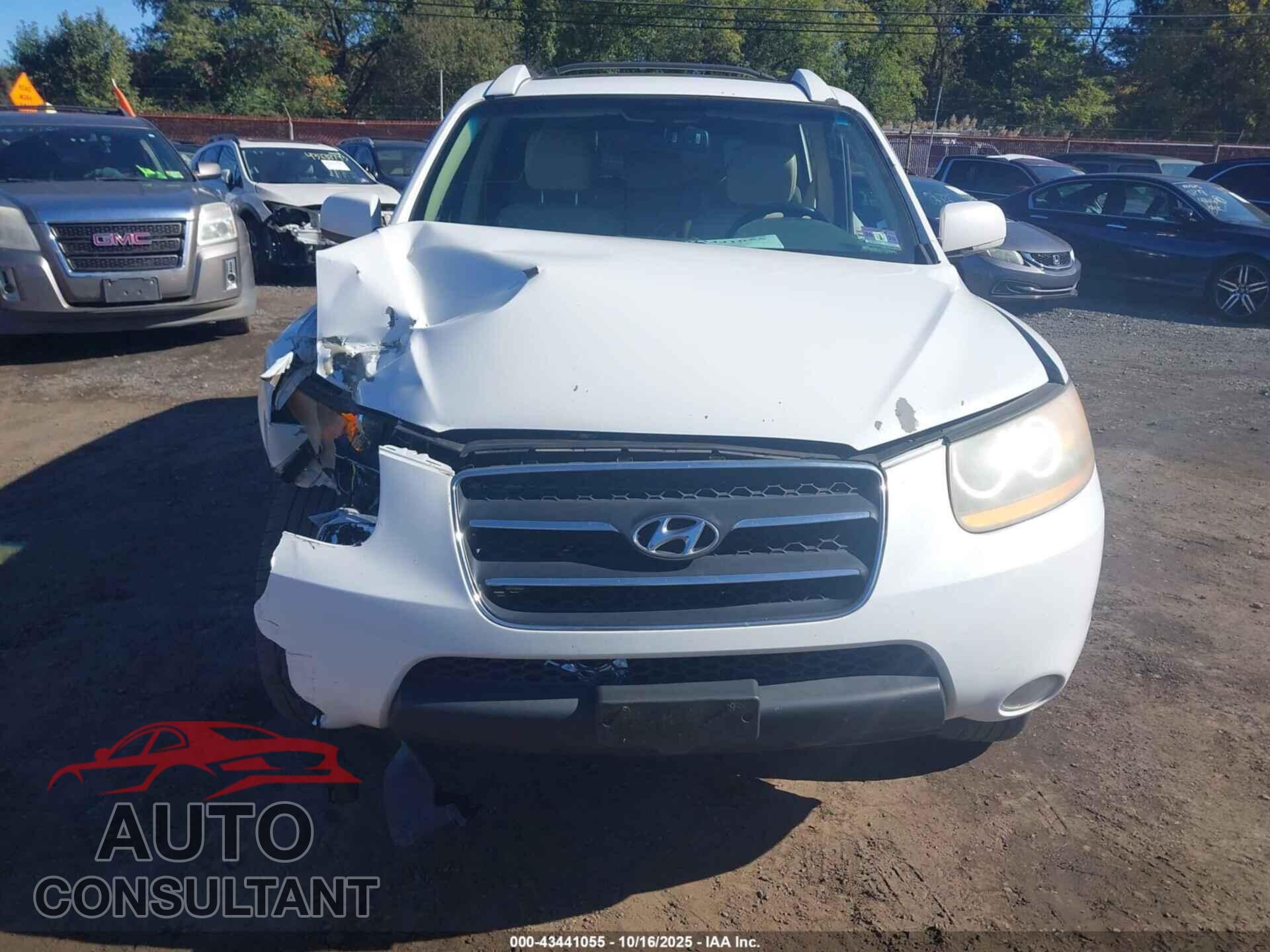 HYUNDAI SANTA FE 2009 - 5NMSH13E69H257496