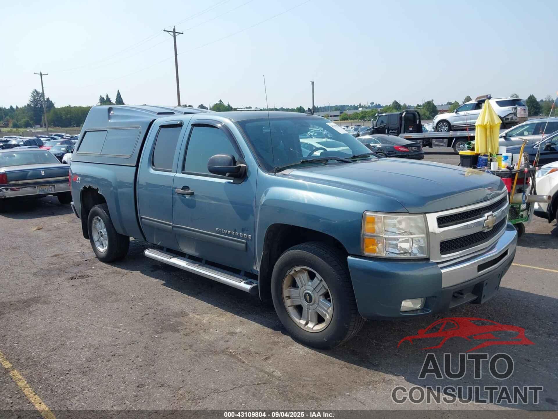 CHEVROLET SILVERADO 1500 2009 - 1GCEK29039Z150899