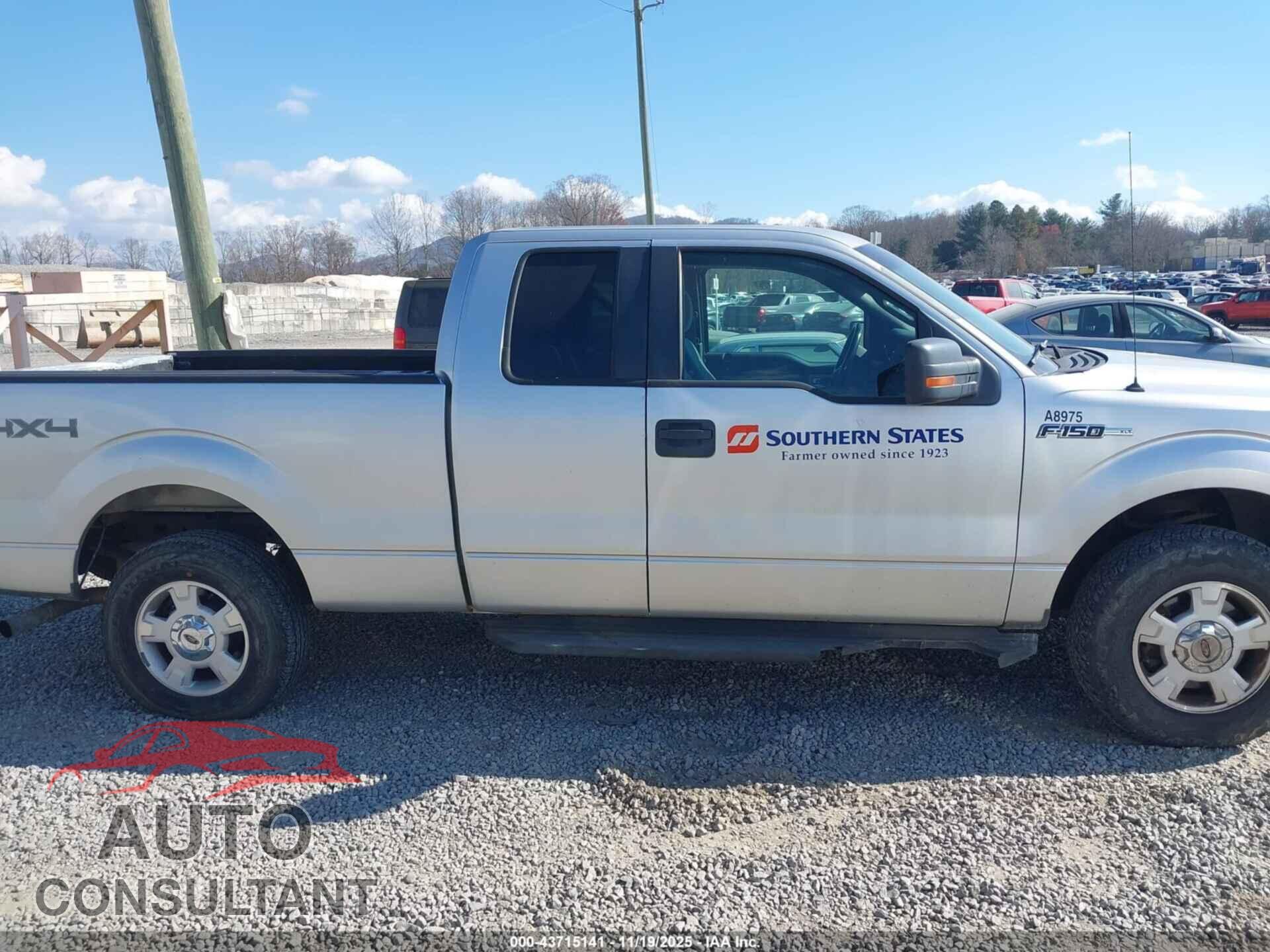 FORD F-150 2011 - 1FTFX1EF2BFC28767