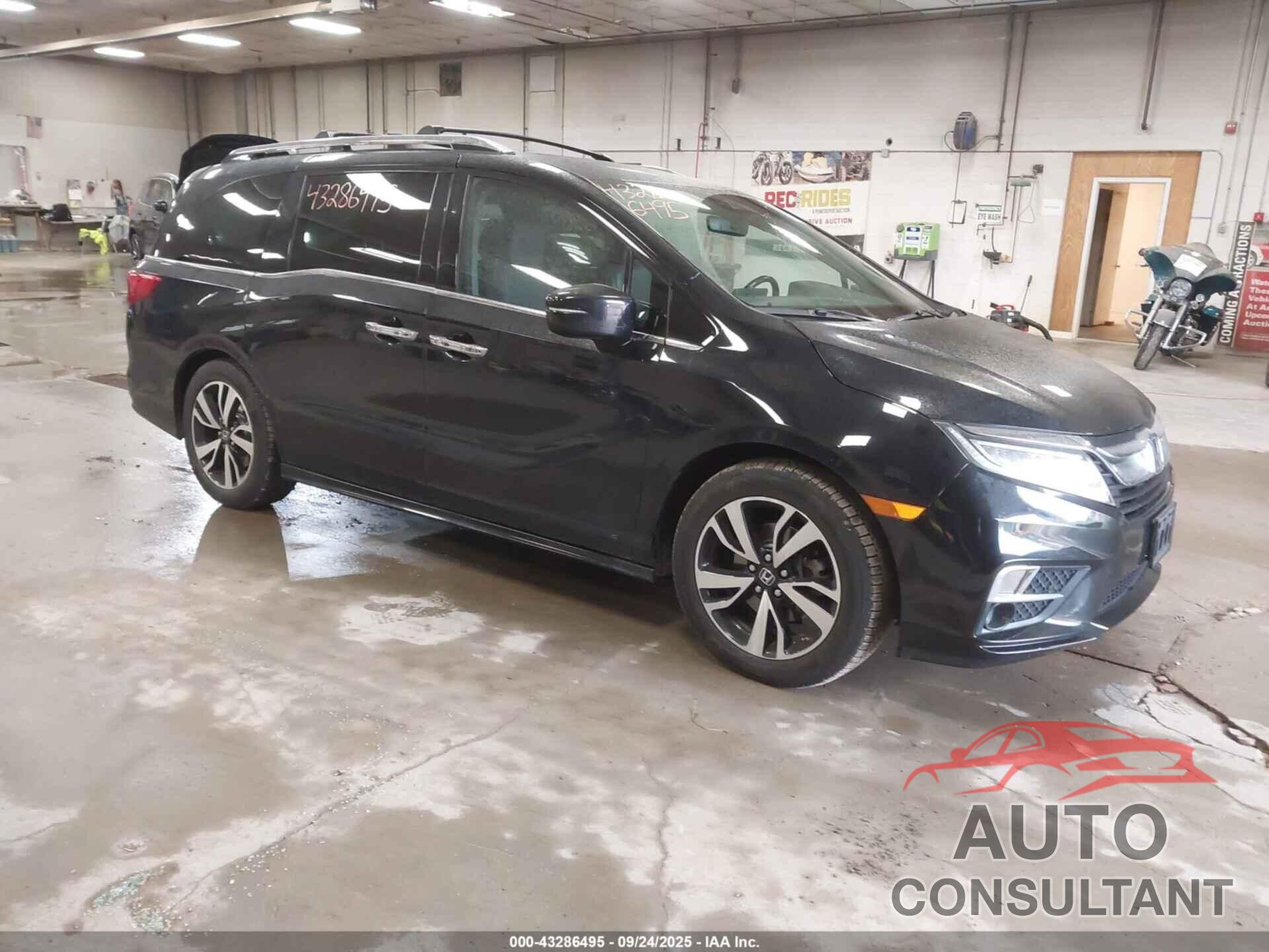 HONDA ODYSSEY 2019 - 5FNRL6H90KB013601