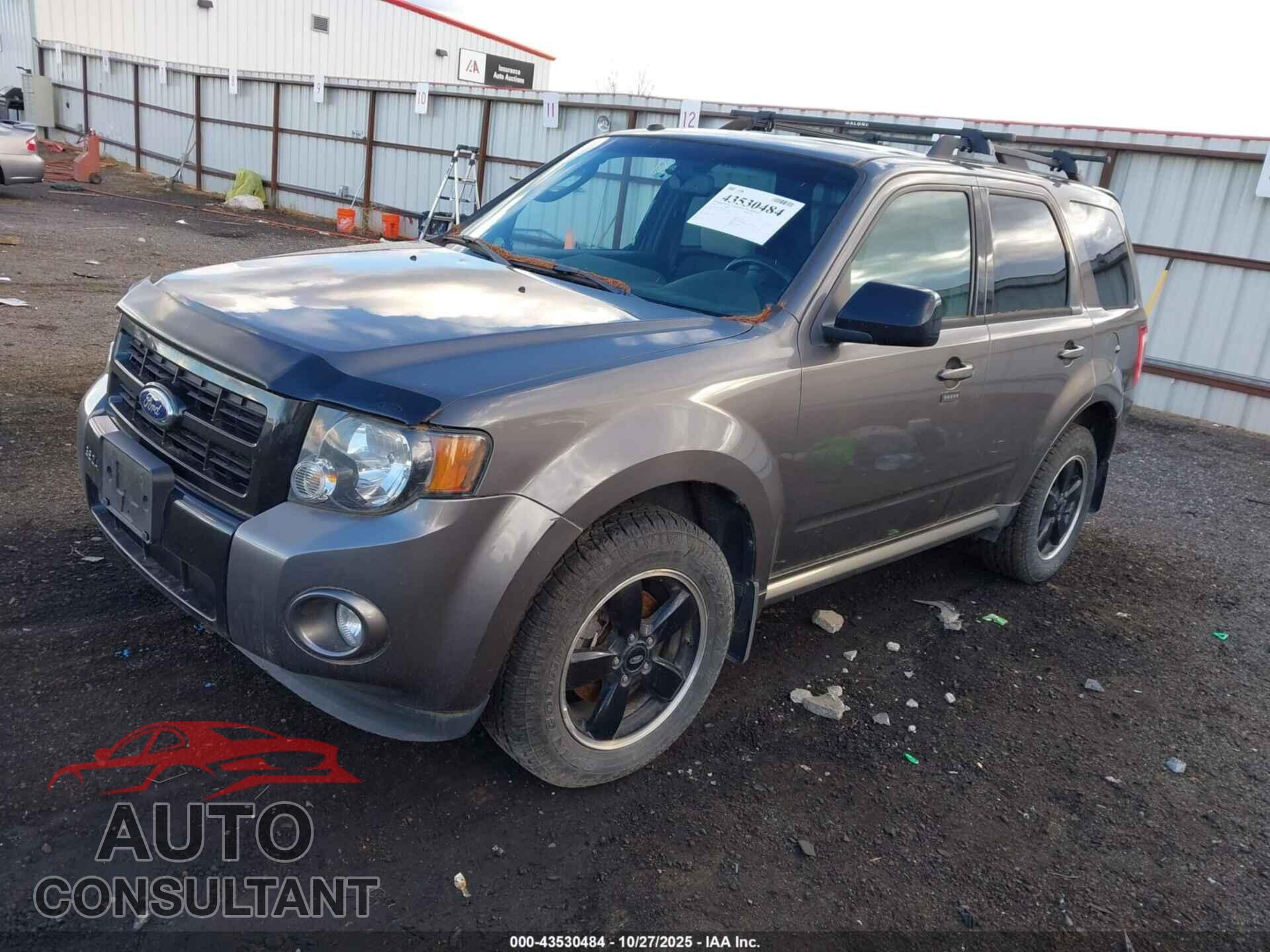 FORD ESCAPE 2011 - 1FMCU9DG4BKB78879