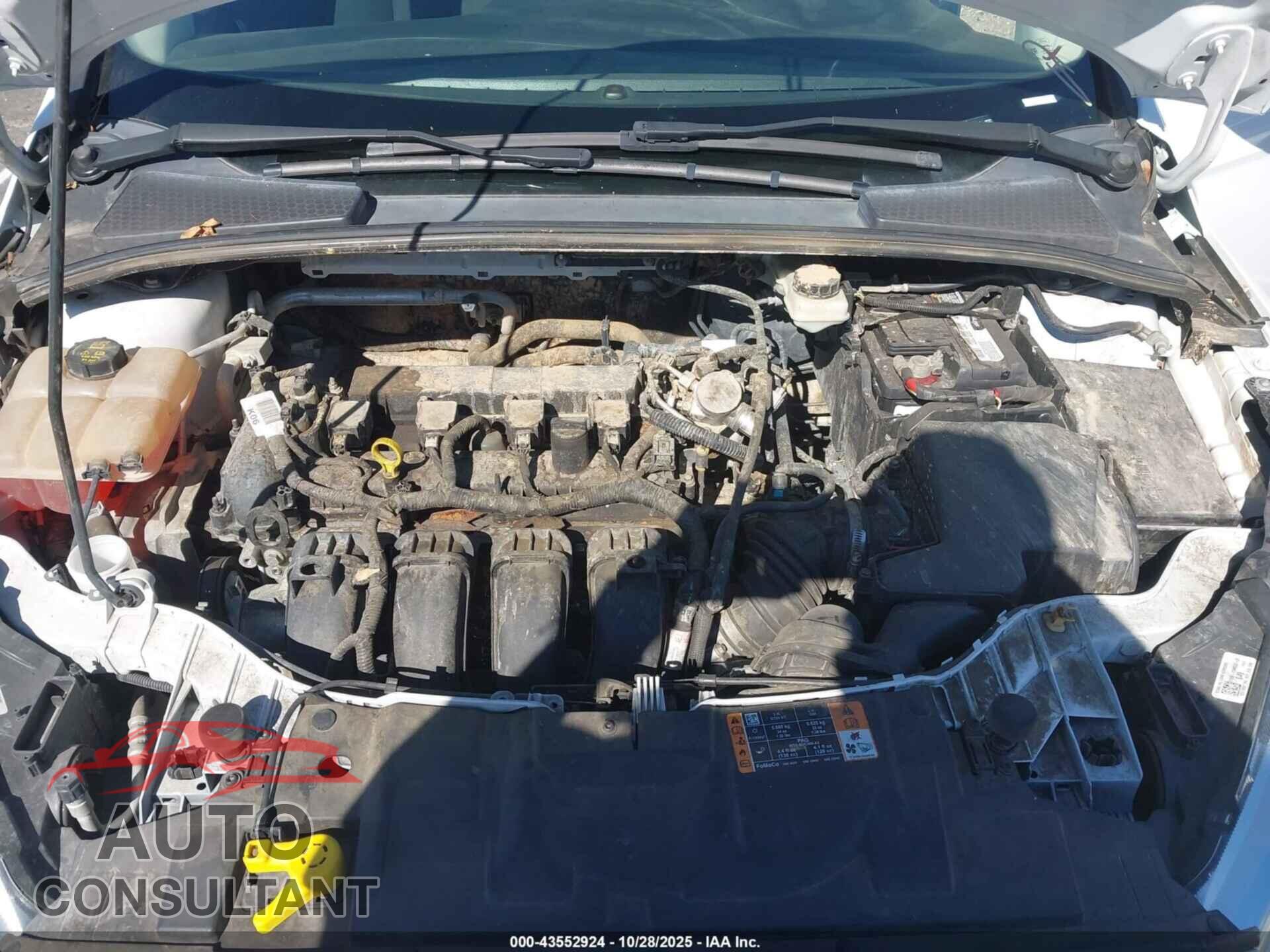 FORD FOCUS 2017 - 1FADP3K24HL219718