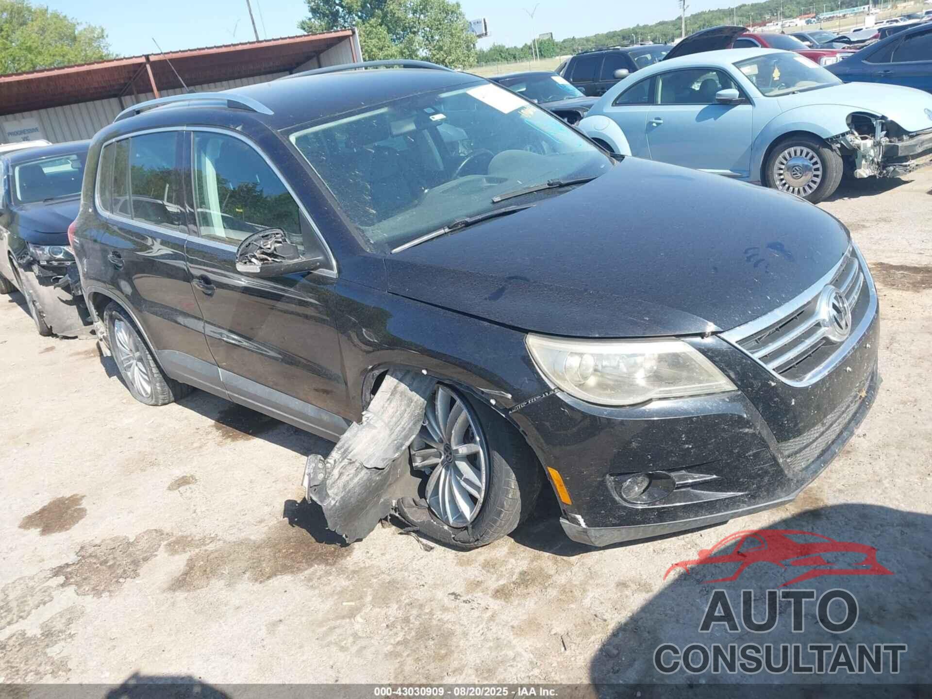 VOLKSWAGEN TIGUAN 2009 - WVGAV75N29W525411