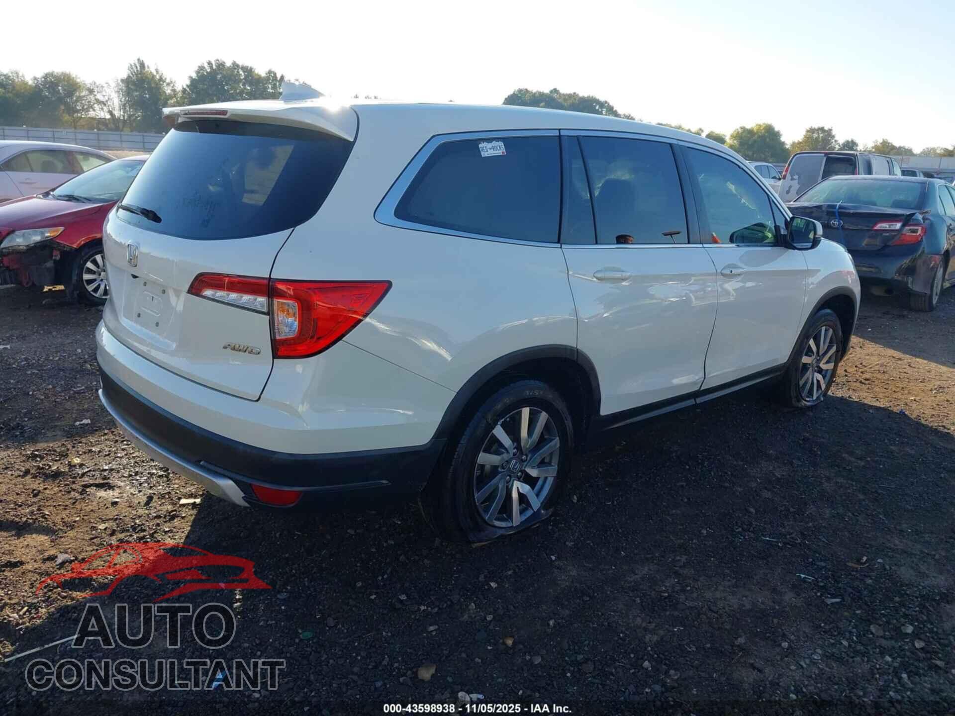 HONDA PILOT 2019 - 5FNYF6H55KB063104