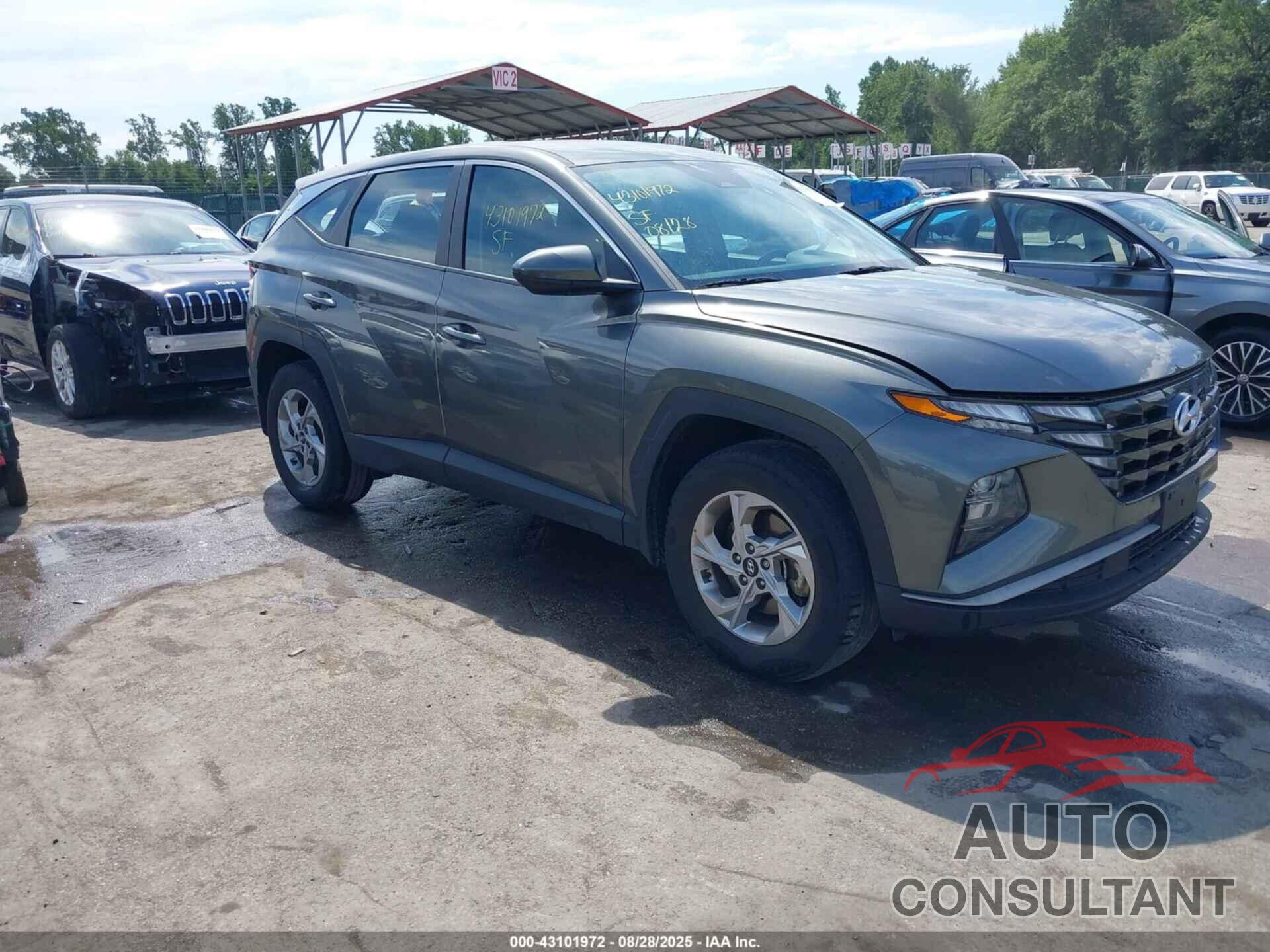 HYUNDAI TUCSON 2023 - 5NMJACAE6PH248924