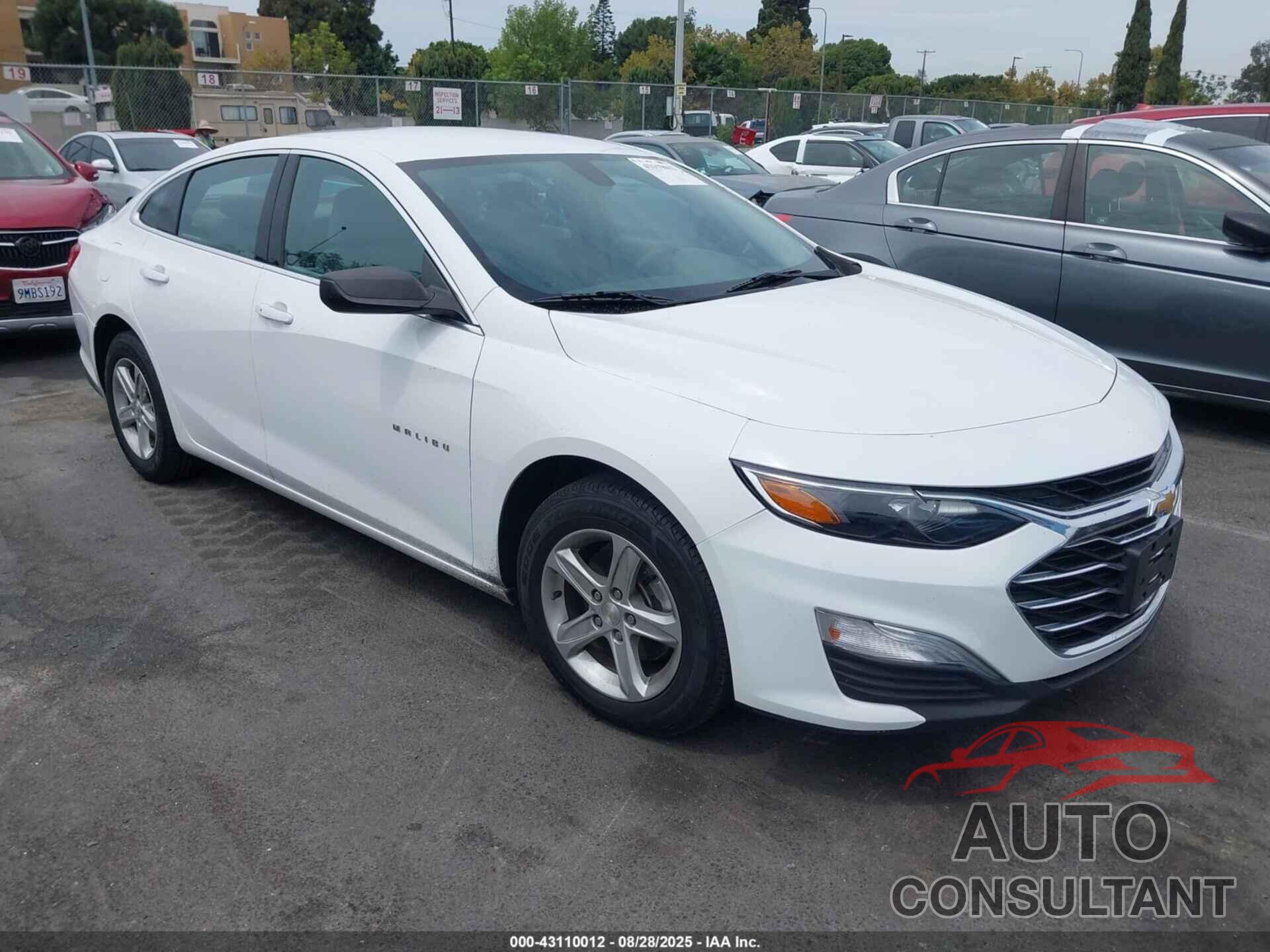 CHEVROLET MALIBU 2019 - 1G1ZC5ST3KF213567