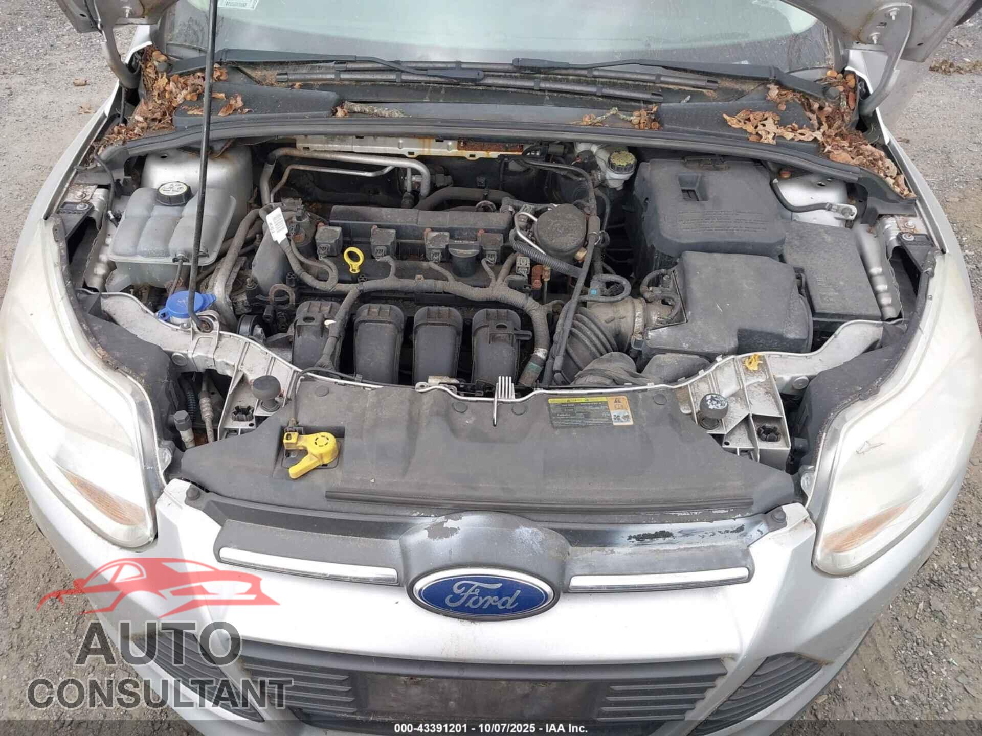 FORD FOCUS 2012 - 1FAHP3E29CL306522