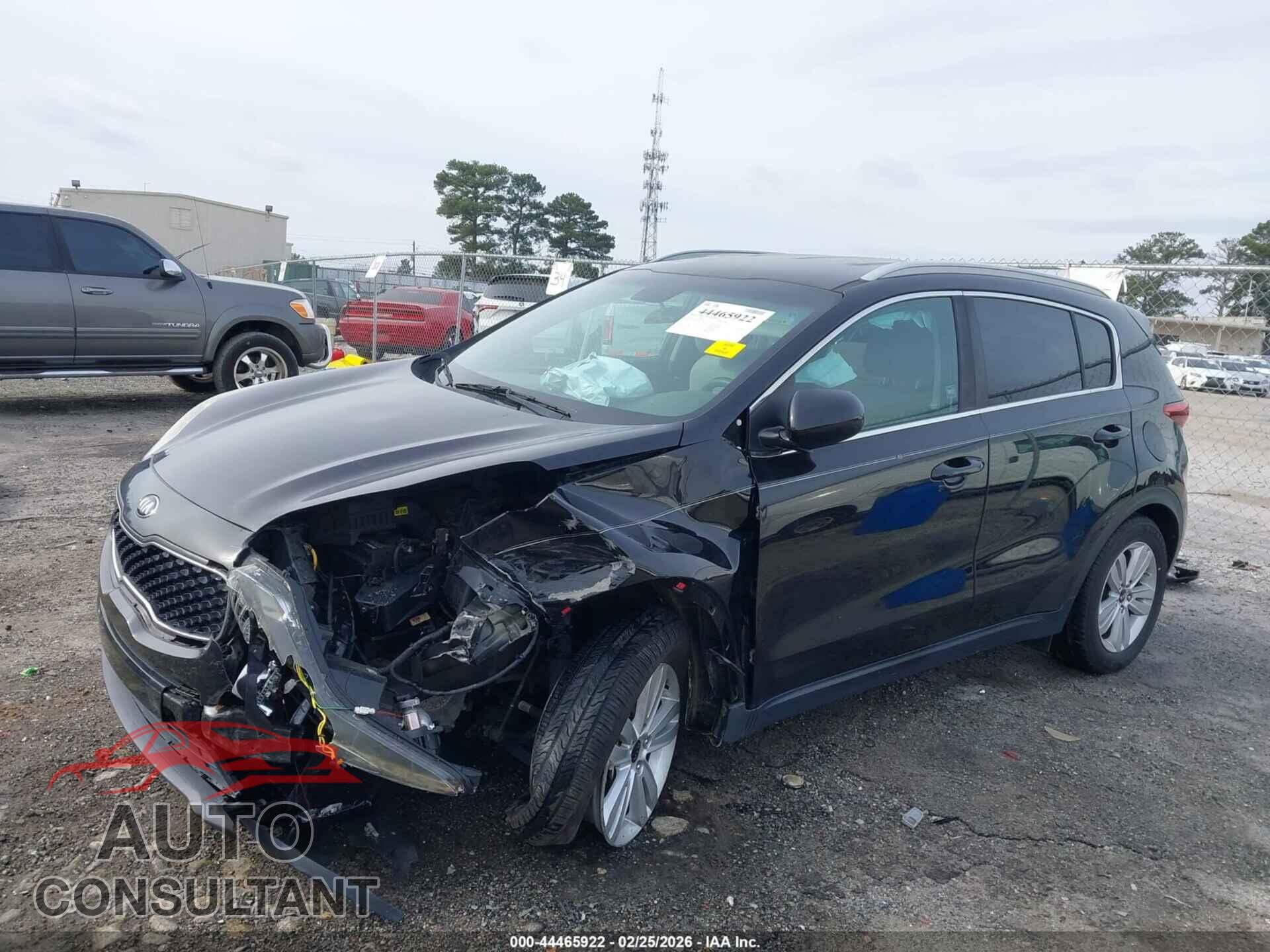 KIA SPORTAGE 2017 - KNDPM3AC2H7205951