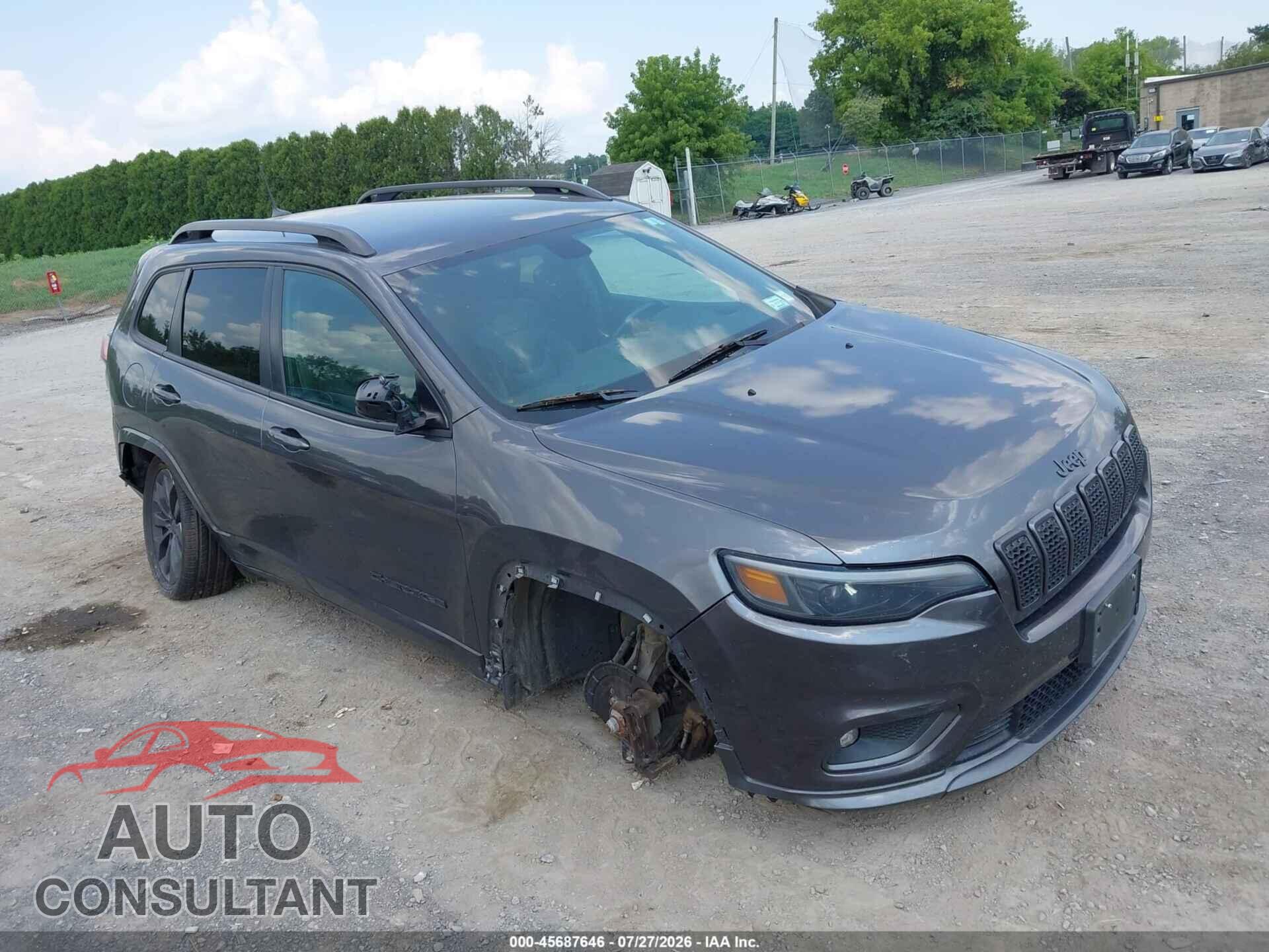 JEEP CHEROKEE 2019 - 1C4PJMDX4KD362984