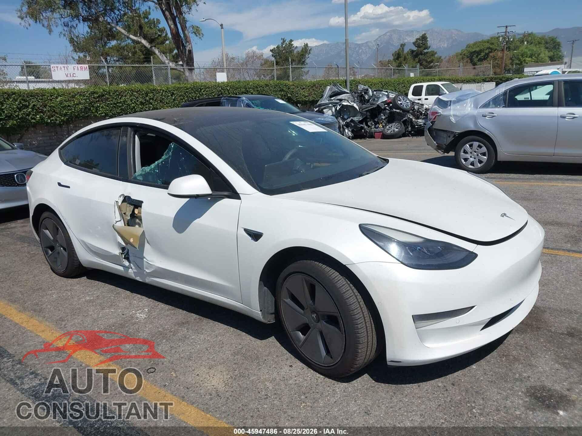 TESLA MODEL 3 2021 - 5YJ3E1EA7MF003524