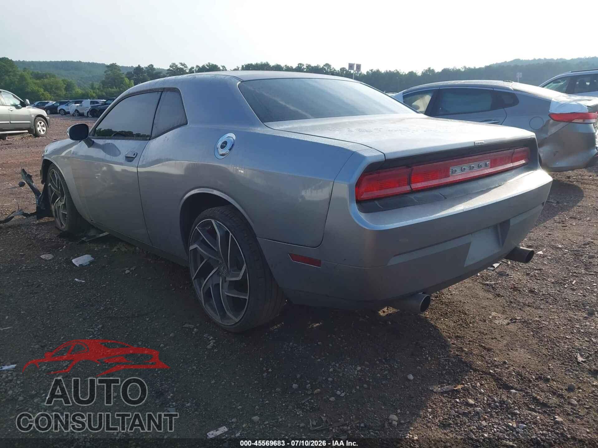 DODGE CHALLENGER 2013 - 2C3CDYAG7DH569445