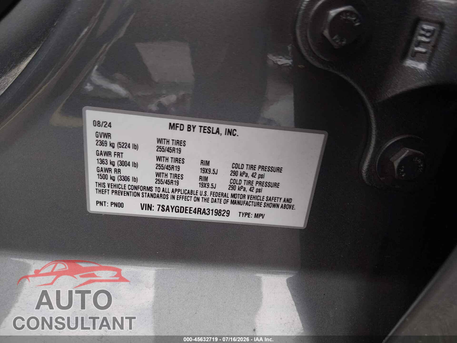 TESLA MODEL Y 2024 - 7SAYGDEE4RA319829