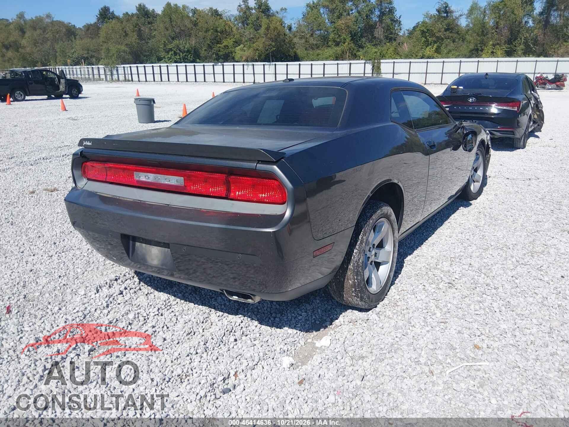 DODGE CHALLENGER 2013 - 2C3CDYAG8DH562214