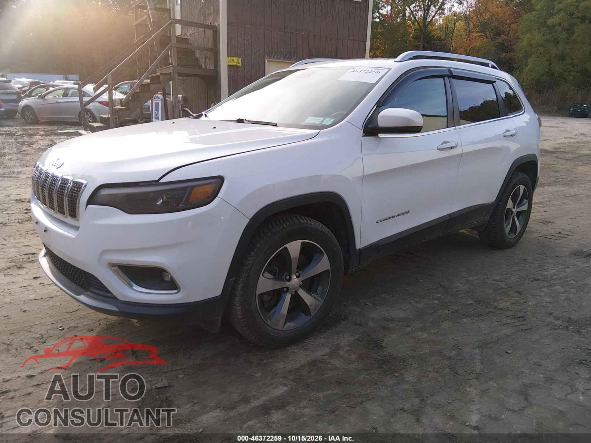 JEEP CHEROKEE 2019 - 1C4PJMDN7KD224497