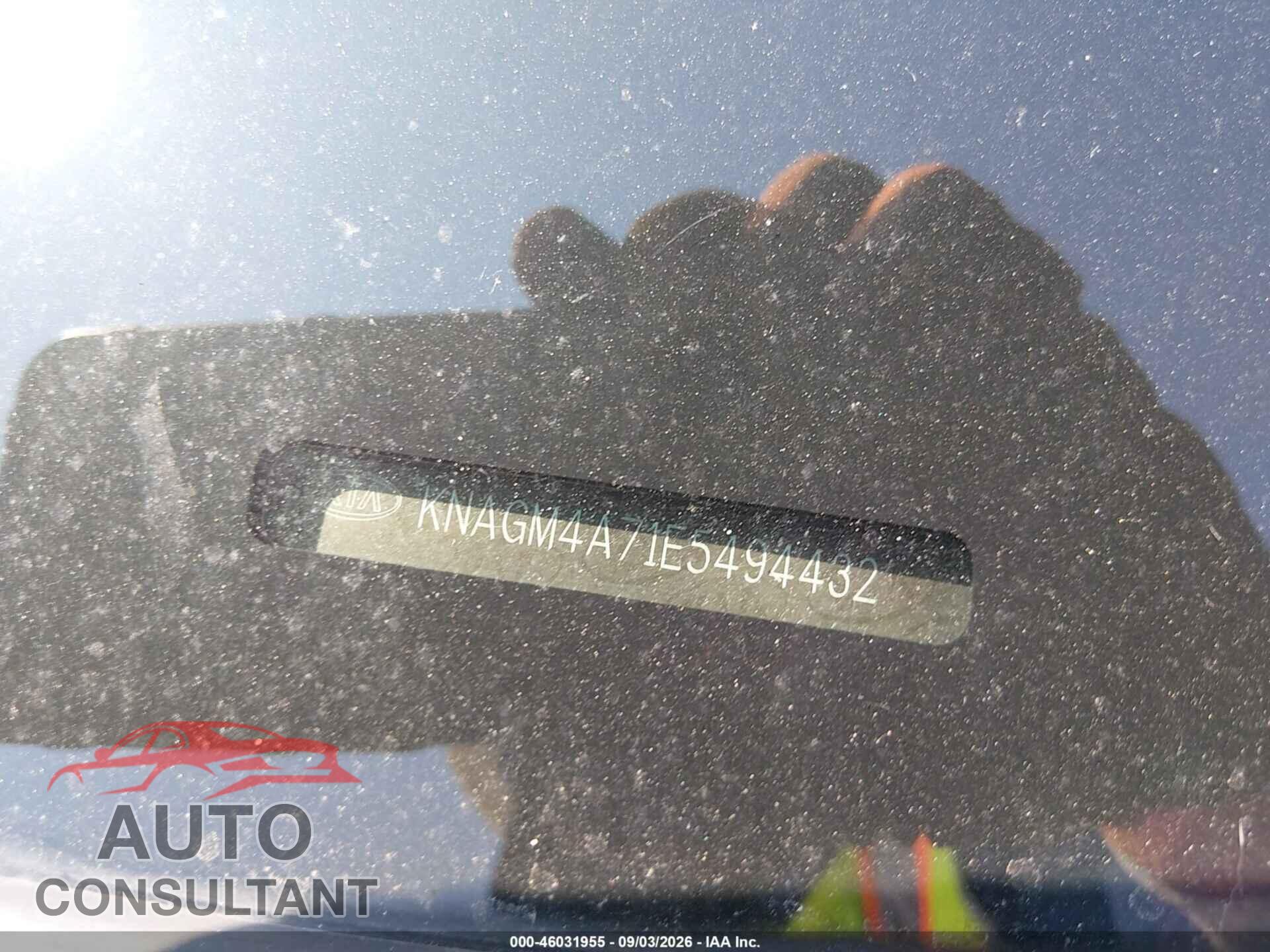 KIA OPTIMA 2014 - KNAGM4A71E5494432