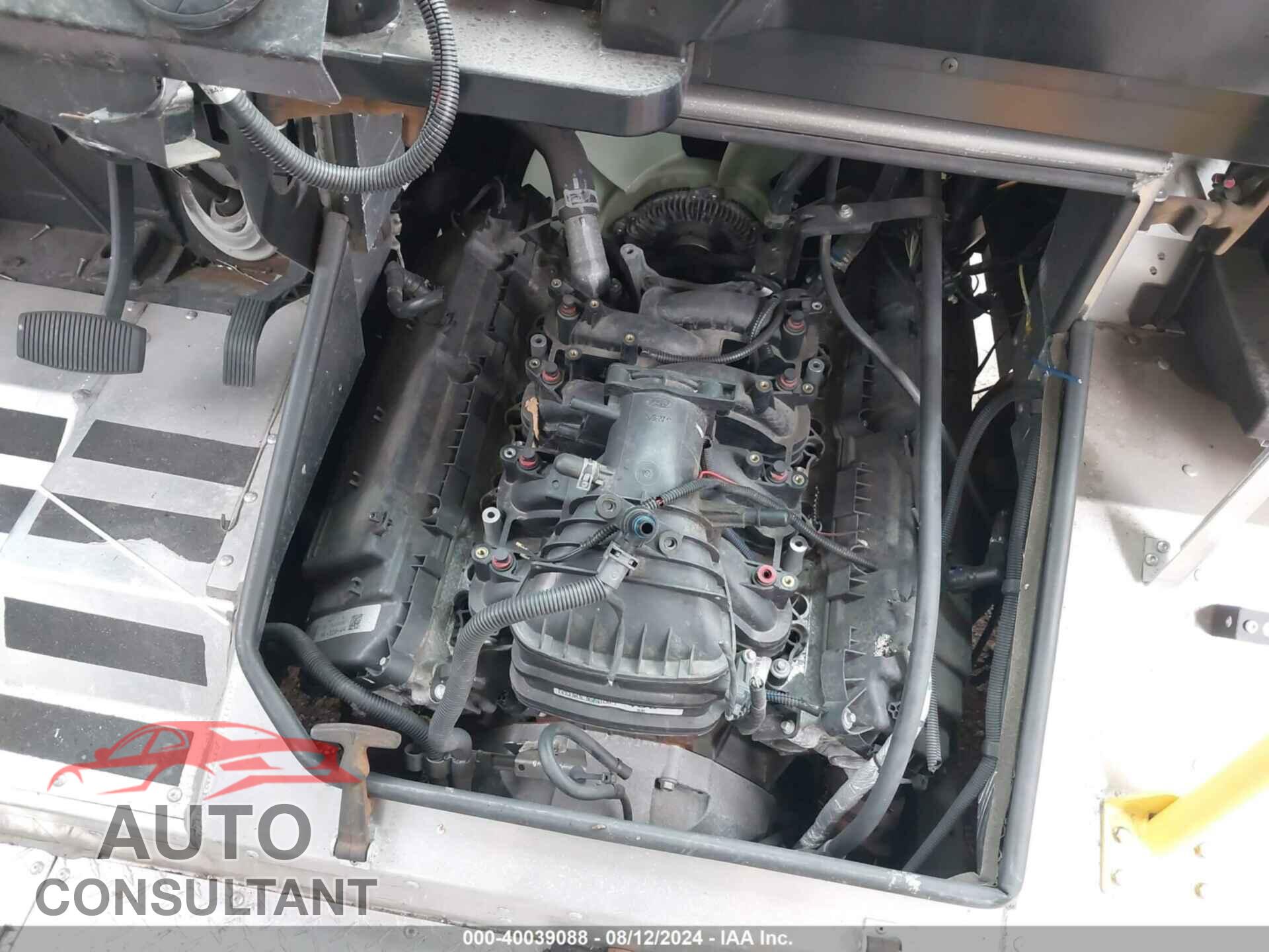 FORD E-450 STRIPPED 2019 - 1FC3E4K62KDC48446