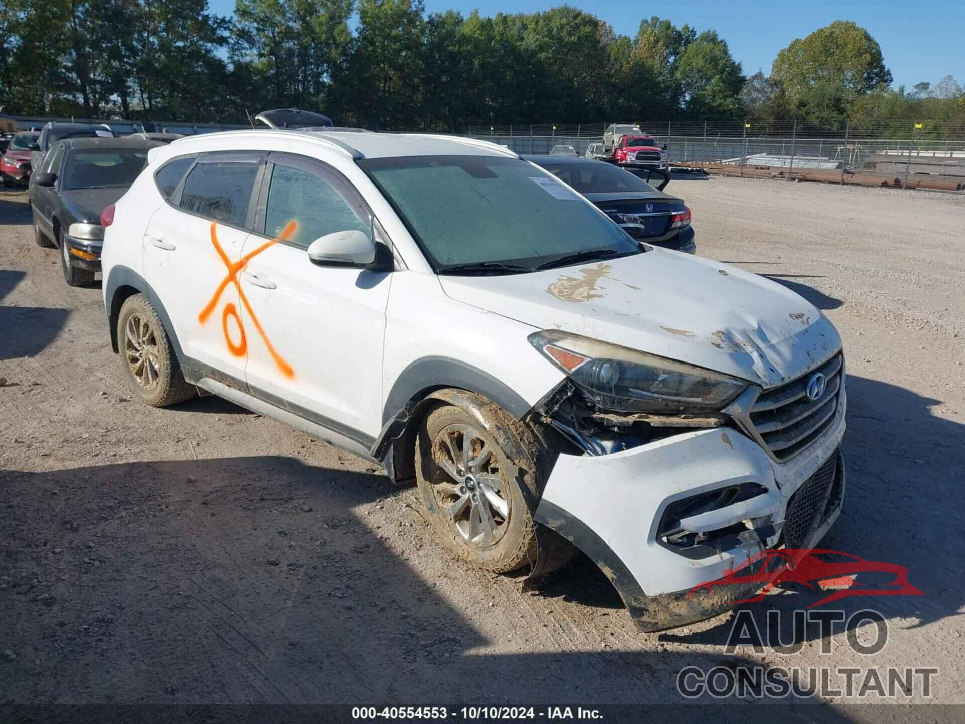 HYUNDAI TUCSON 2017 - KM8J3CA29HU315537