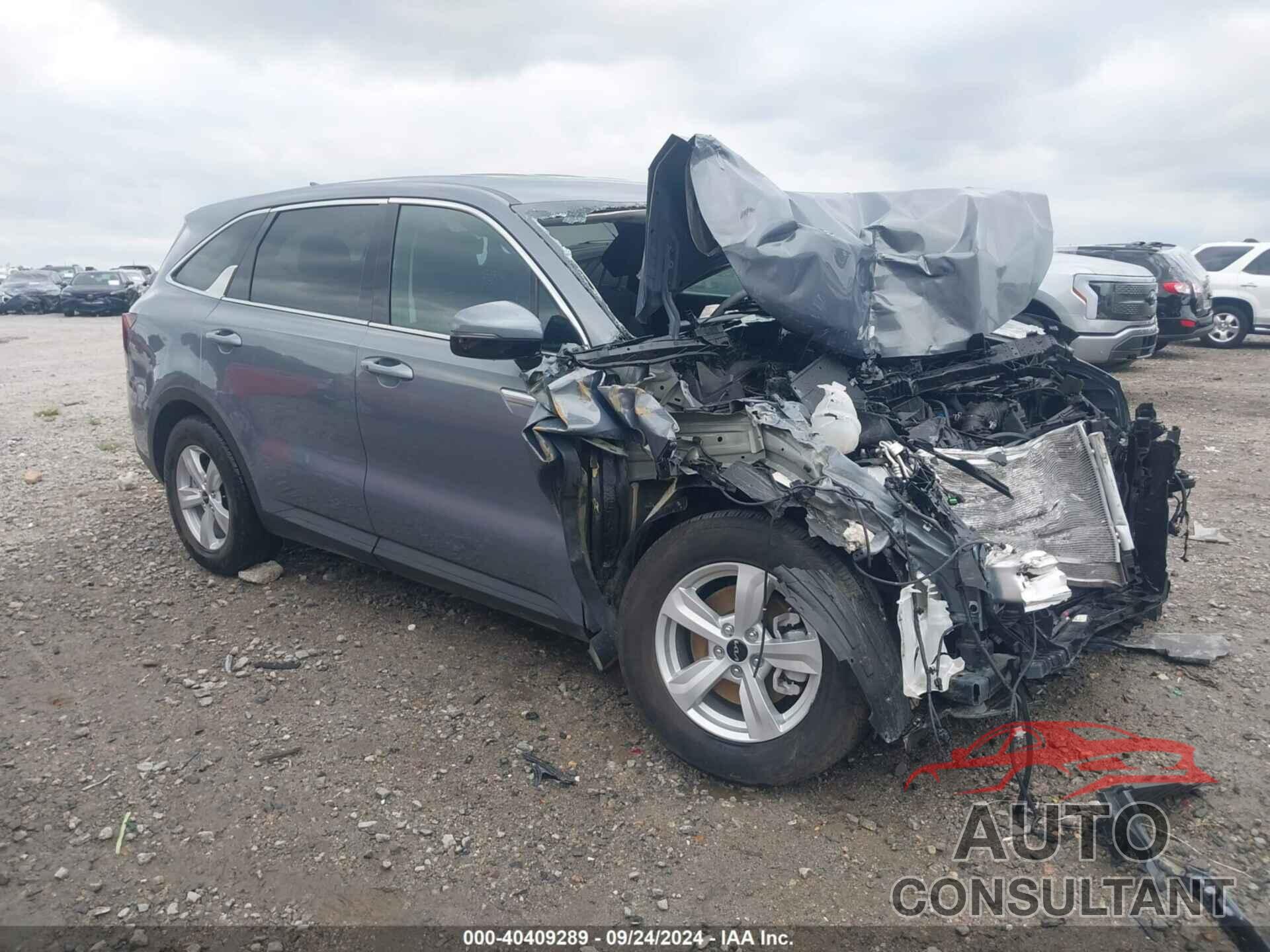 KIA SORENTO 2024 - 5XYRG4JC7RG293860