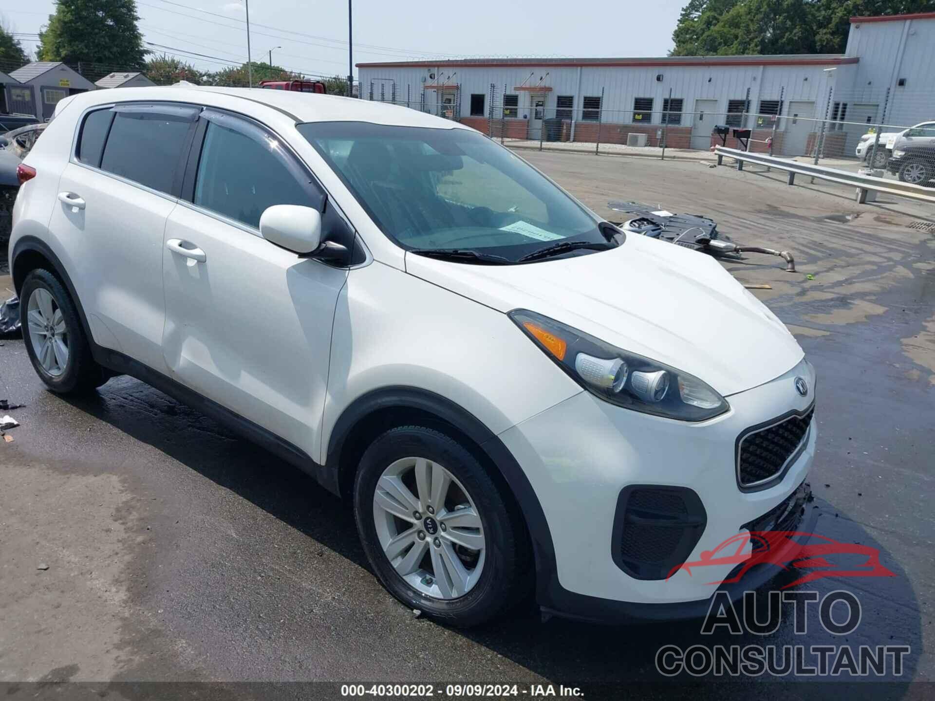 KIA SPORTAGE 2019 - KNDPM3AC5K7628076