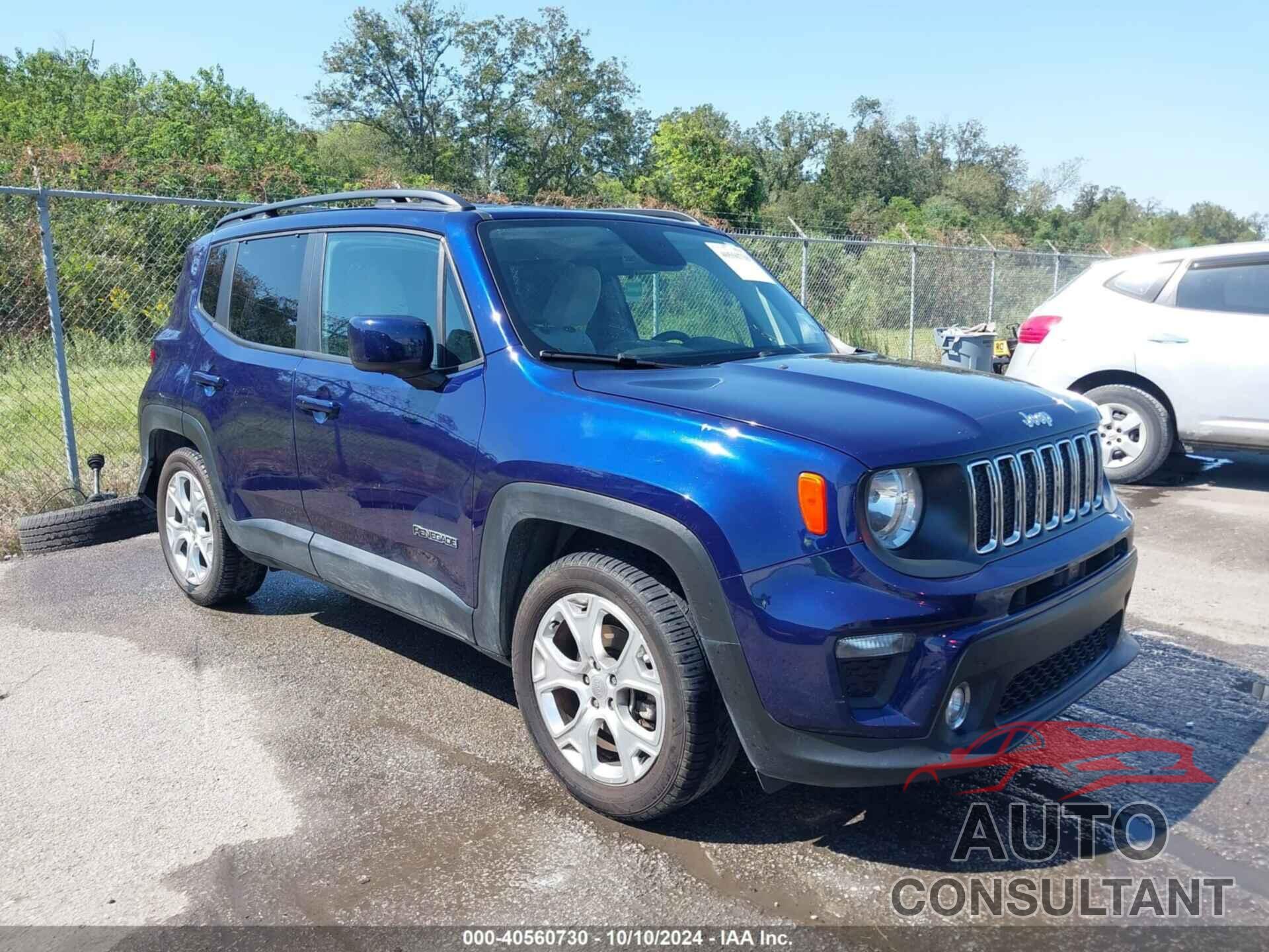 JEEP RENEGADE 2019 - ZACNJABB0KPJ77603