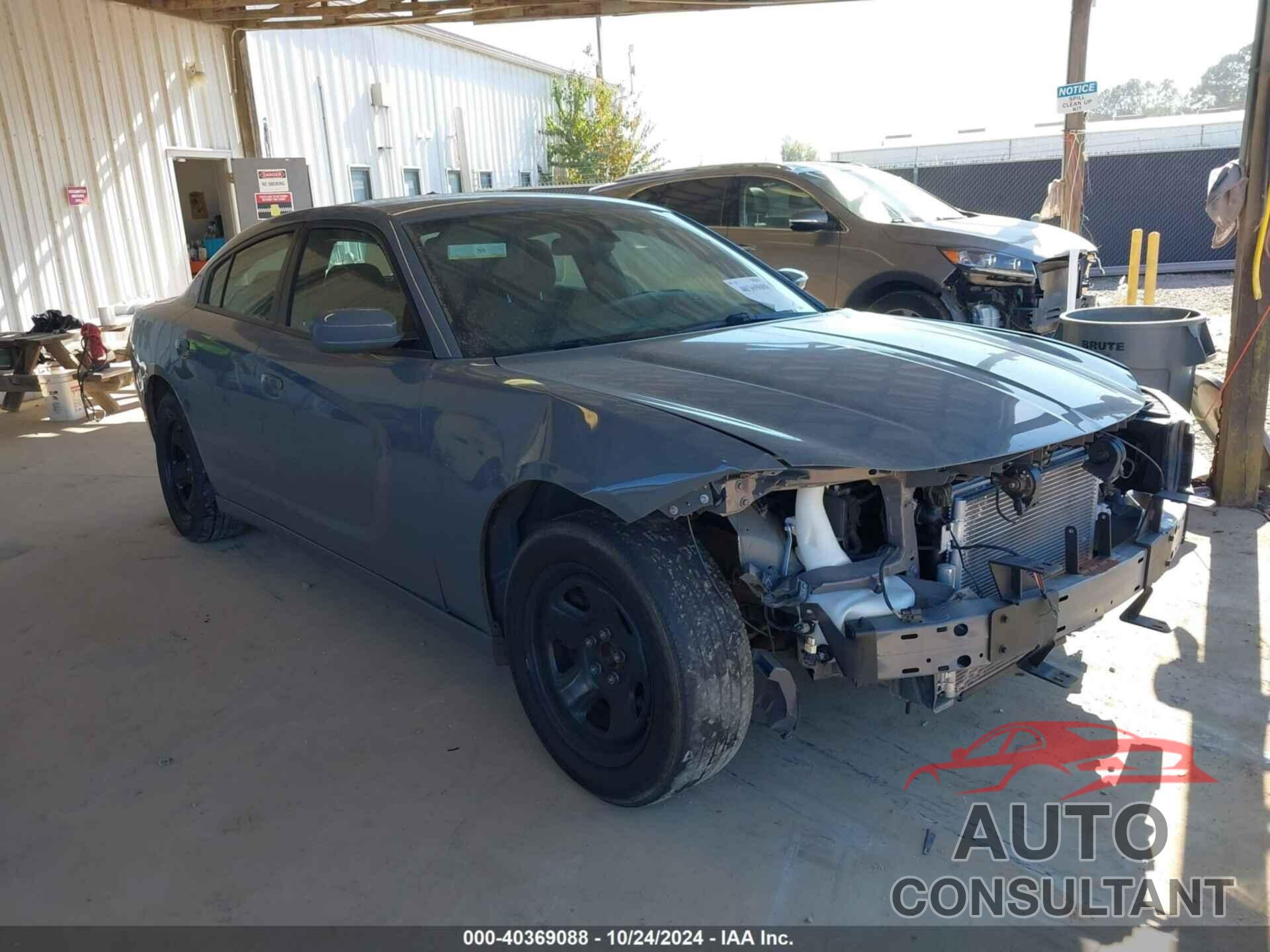 DODGE CHARGER 2019 - 2C3CDXAG3KH510173