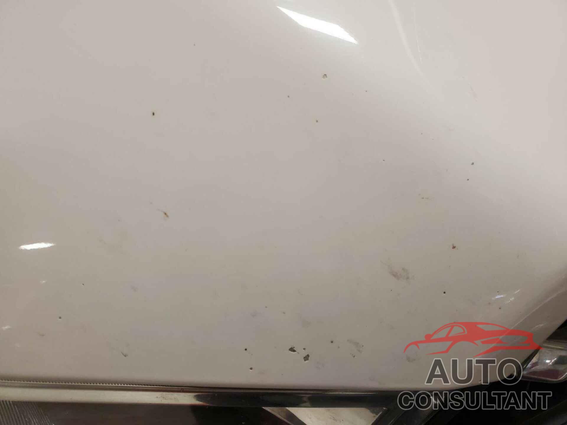 FORD F150 2019 - 1FTFX1E58KKD64058