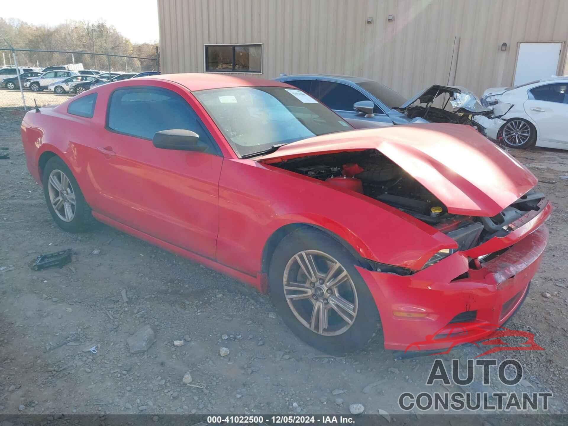FORD MUSTANG 2014 - 1ZVBP8AMXE5290310