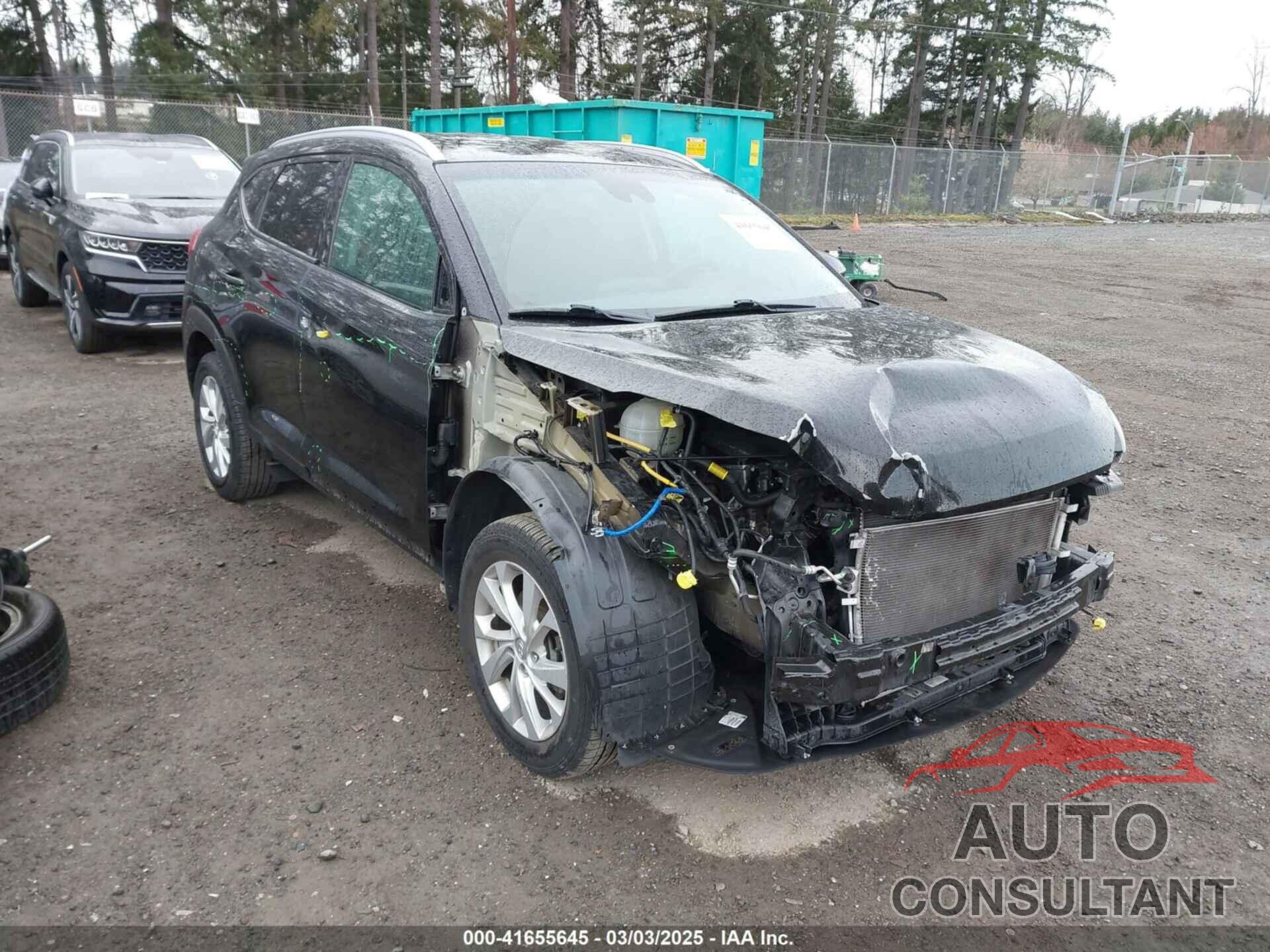 HYUNDAI TUCSON 2019 - KM8J3CA46KU877517