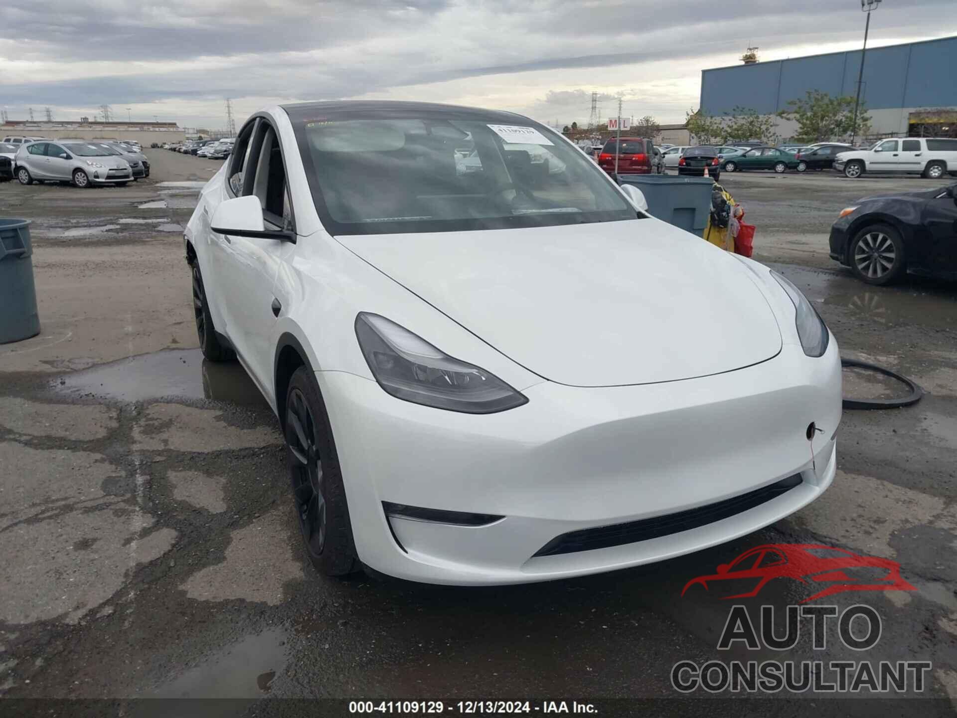 TESLA MODEL Y 2024 - 7SAYGDEE2RF067730