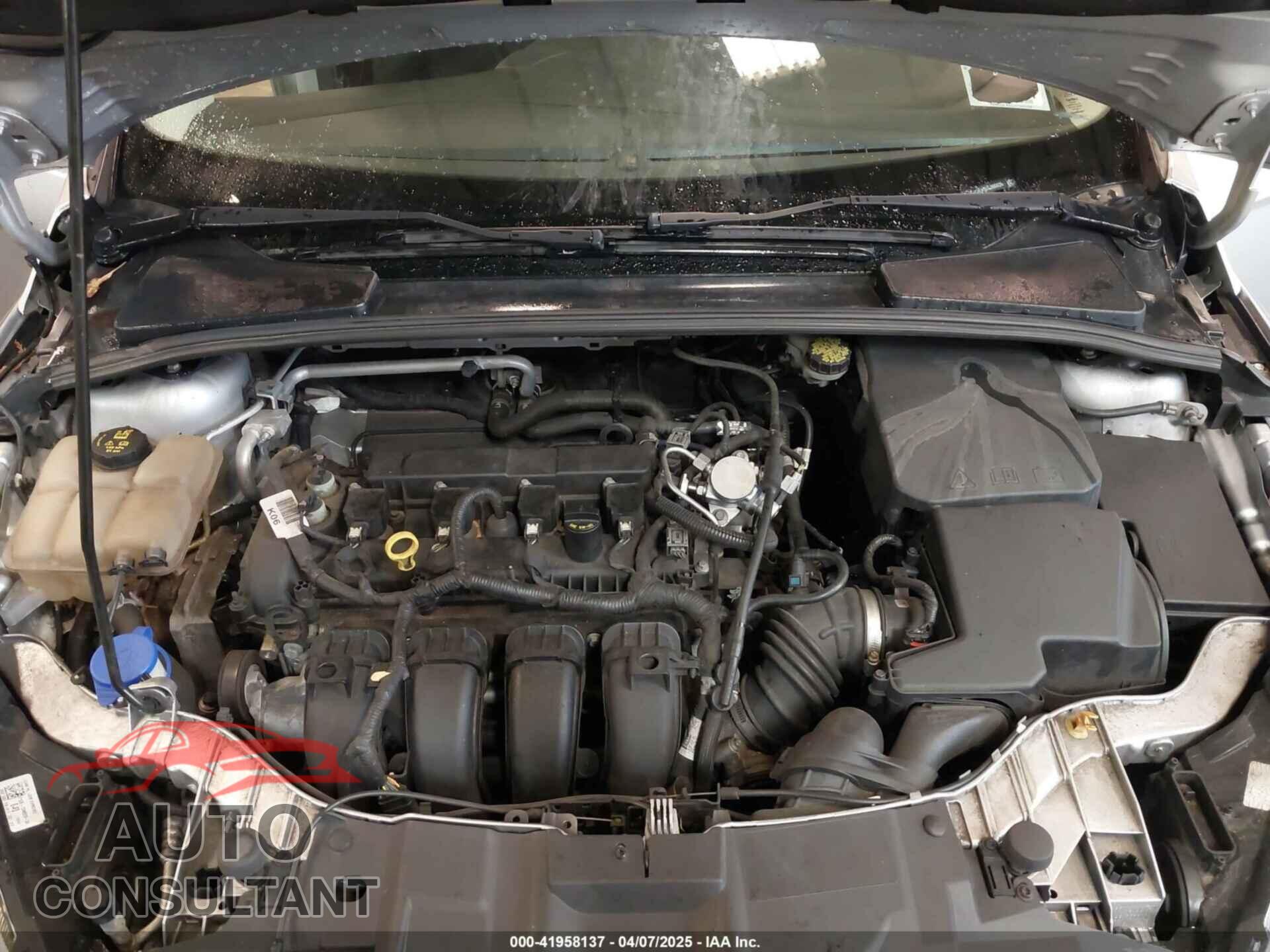 FORD FOCUS 2016 - 1FADP3E22GL390039