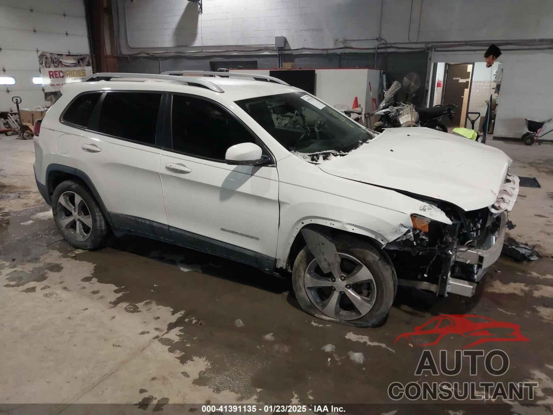 JEEP CHEROKEE 2019 - 1C4PJLDX3KD273160