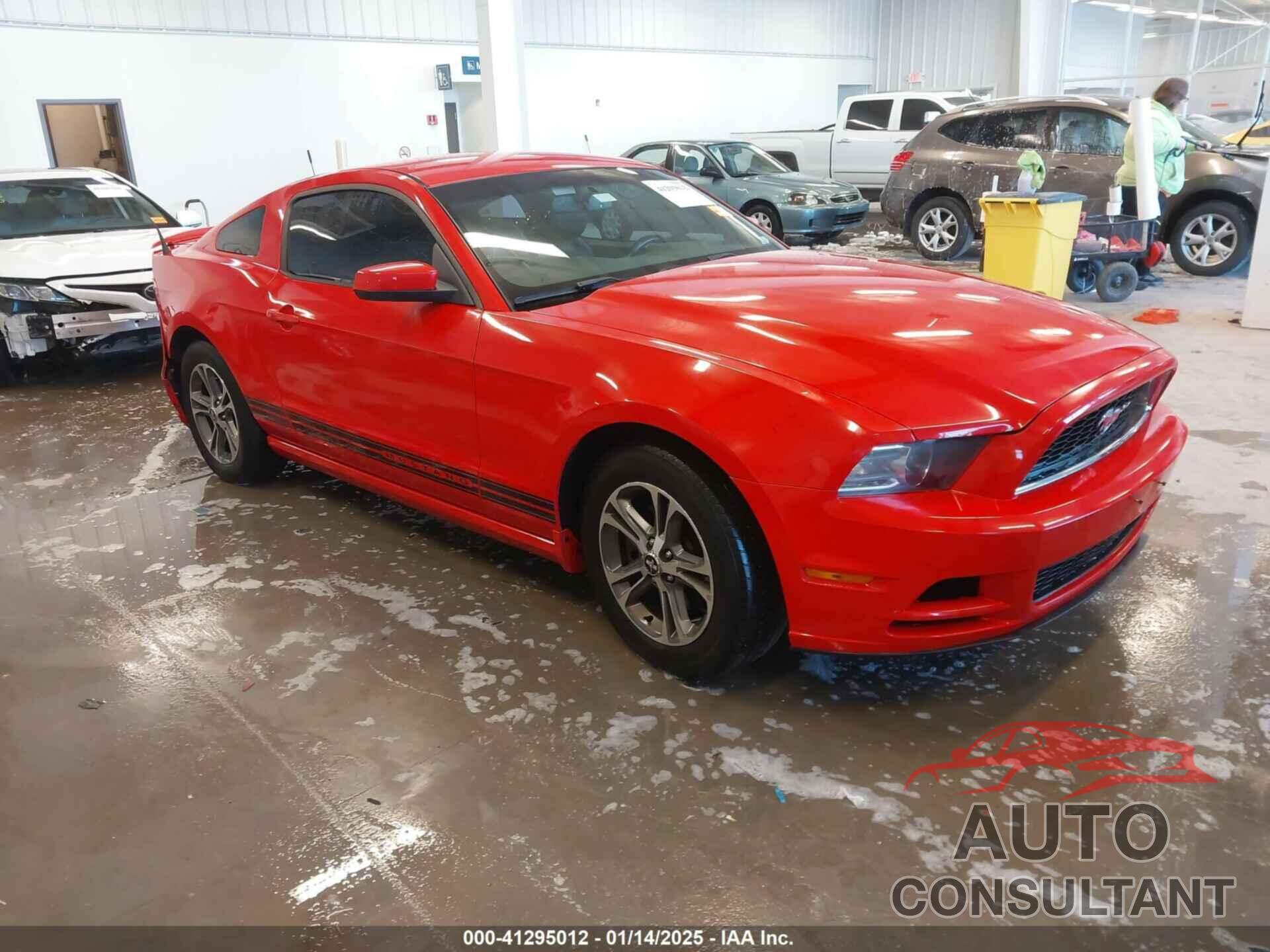 FORD MUSTANG 2014 - 1ZVBP8AMXE5267206
