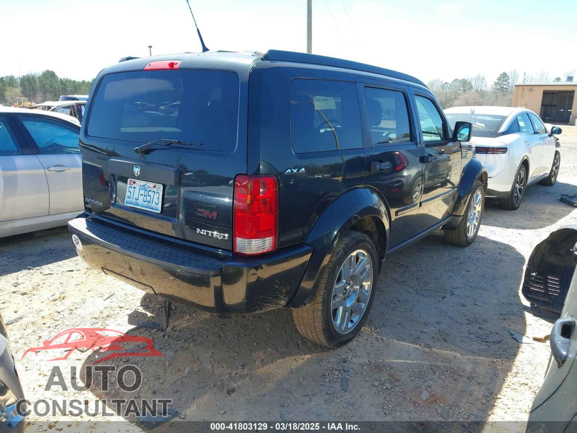 DODGE NITRO 2011 - 1D4PU4GX7BW565927