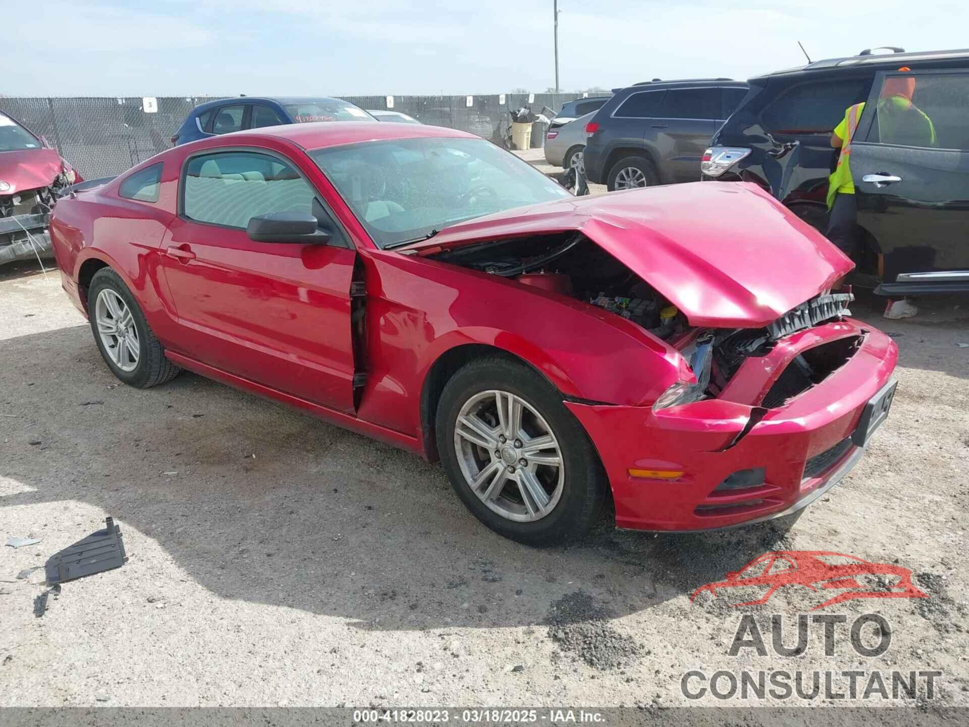 FORD MUSTANG 2013 - 1ZVBP8AM9D5254770