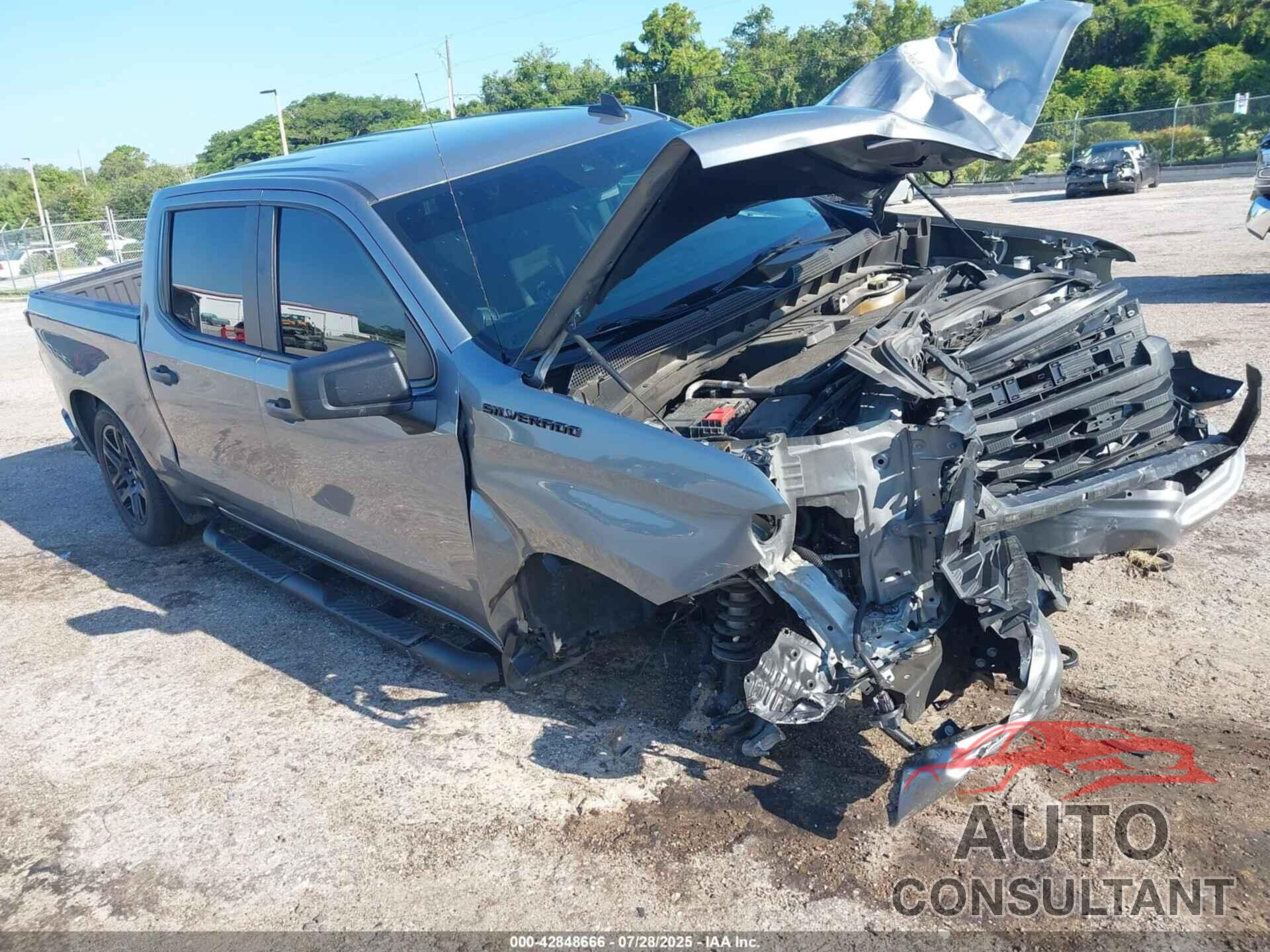 CHEVROLET SILVERADO 1500 2024 - 3GCPABEK2RG116973