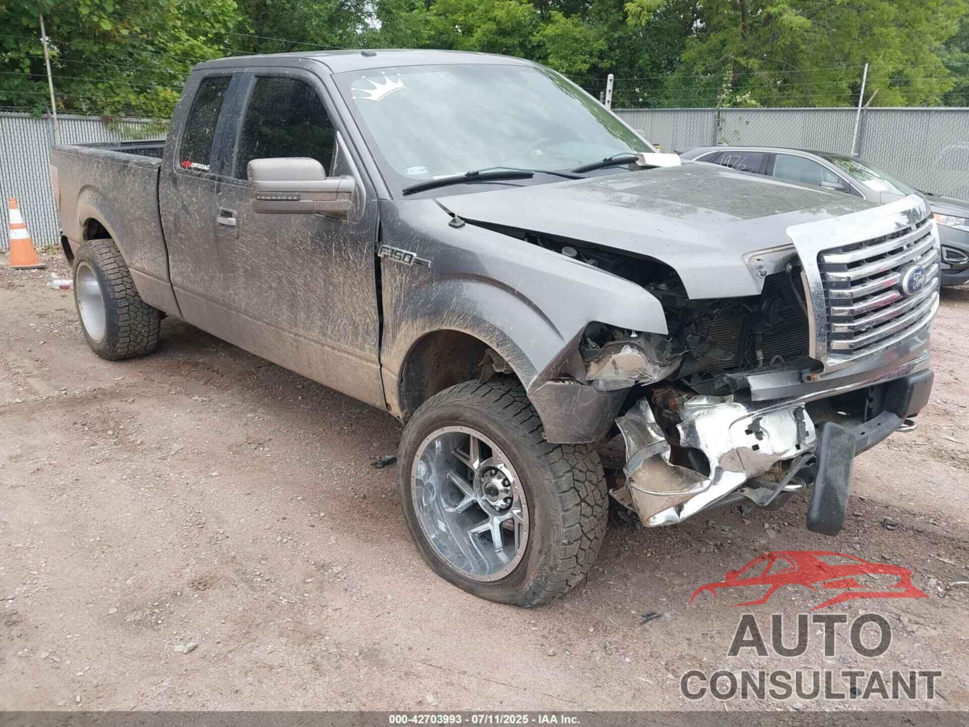 FORD F-150 2010 - 1FTFX1EV5AKE76590