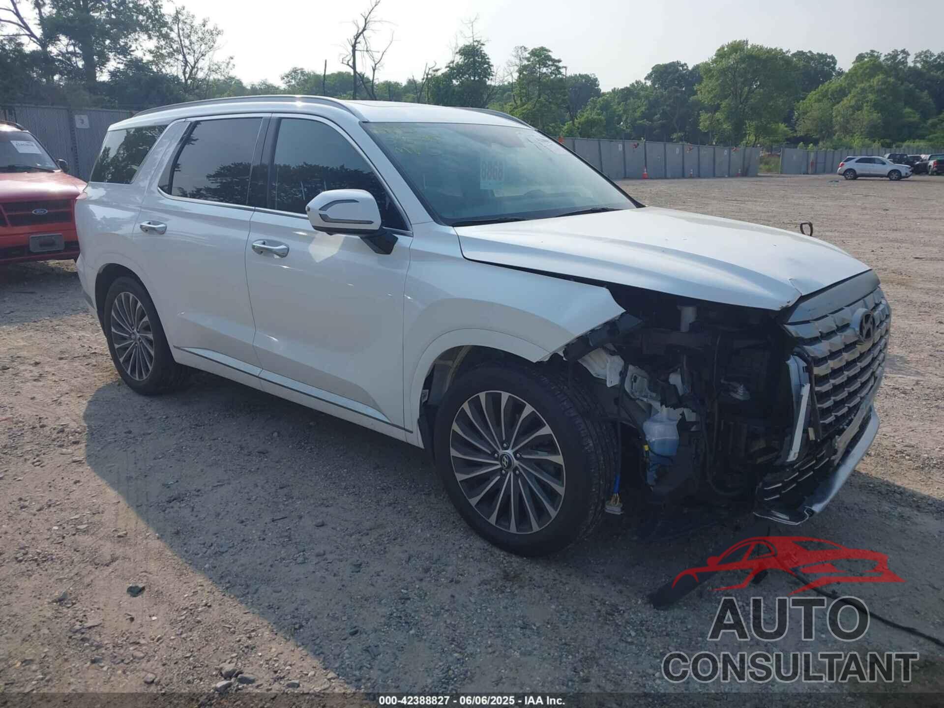 HYUNDAI PALISADE 2023 - KM8R7DGEXPU565866