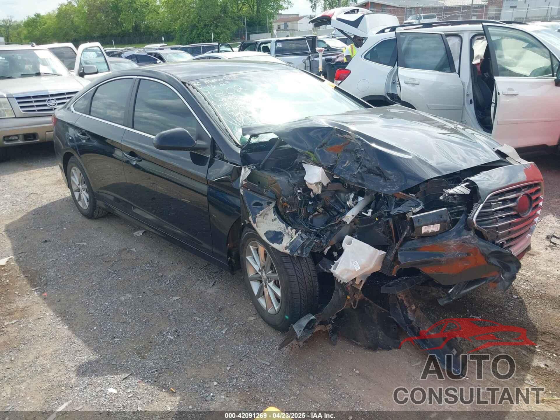HYUNDAI SONATA 2019 - 5NPE24AF1KH739202