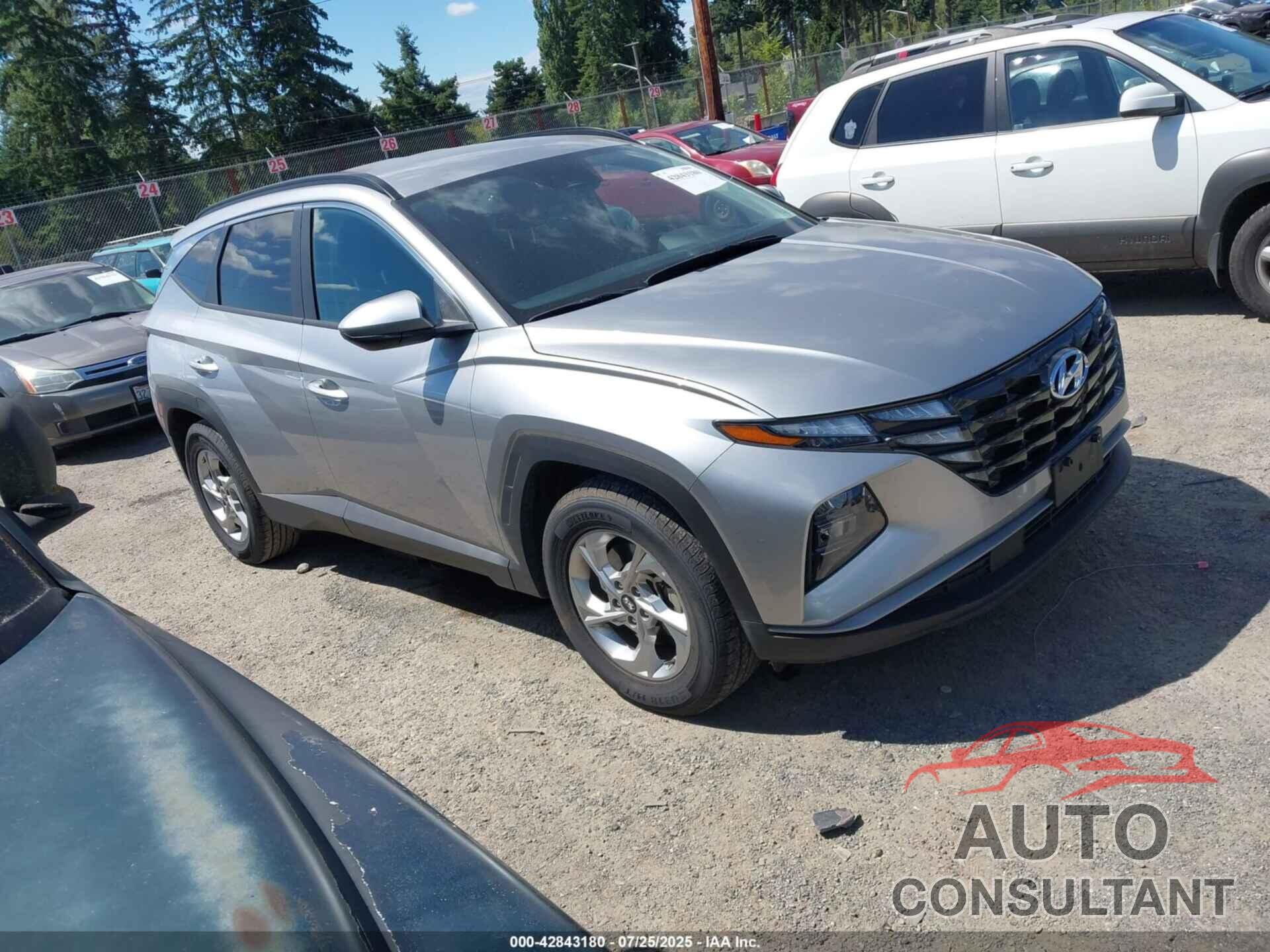 HYUNDAI TUCSON 2024 - 5NMJB3DE6RH296676