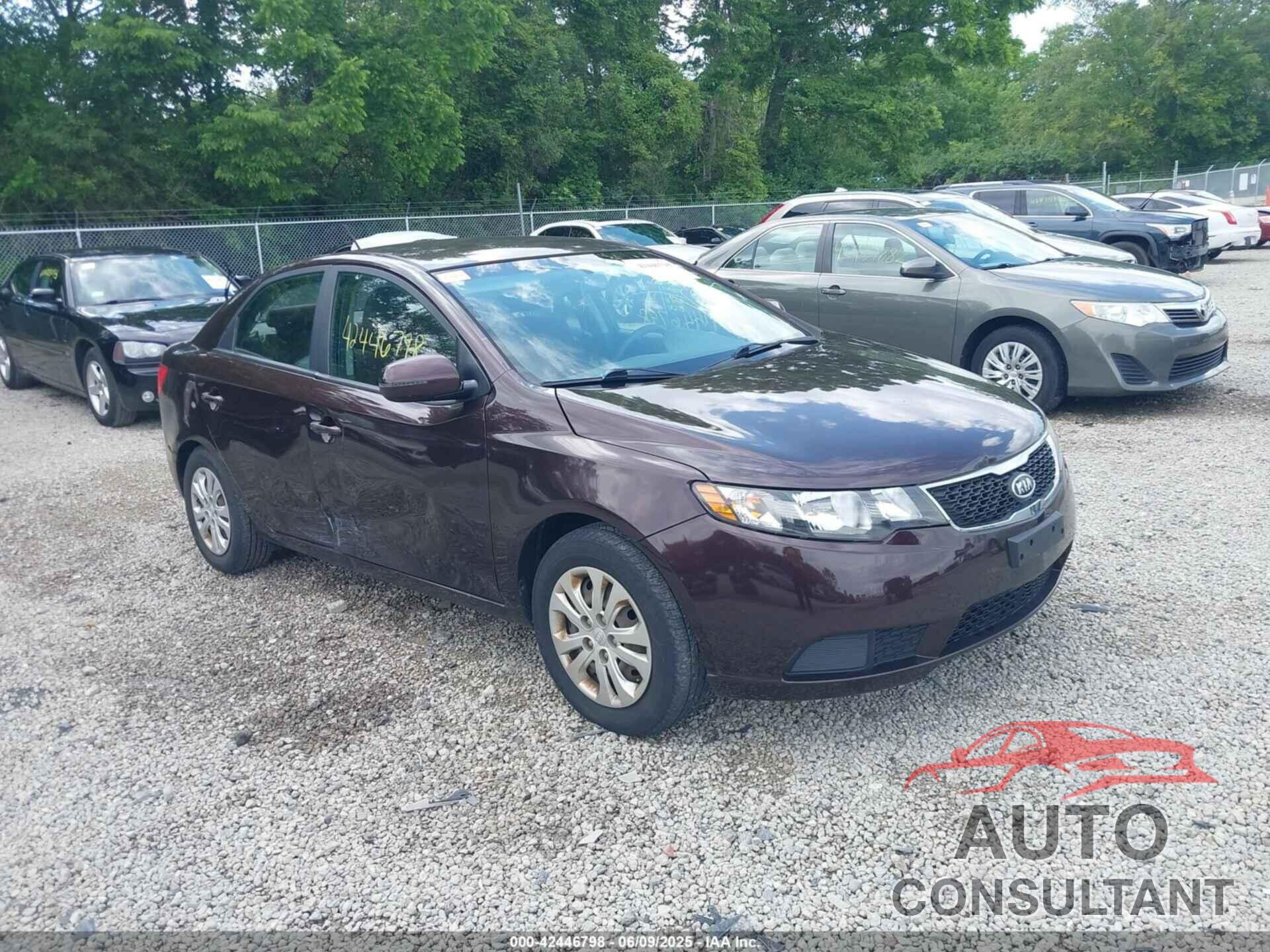 KIA FORTE 2011 - KNAFU4A25B5890794