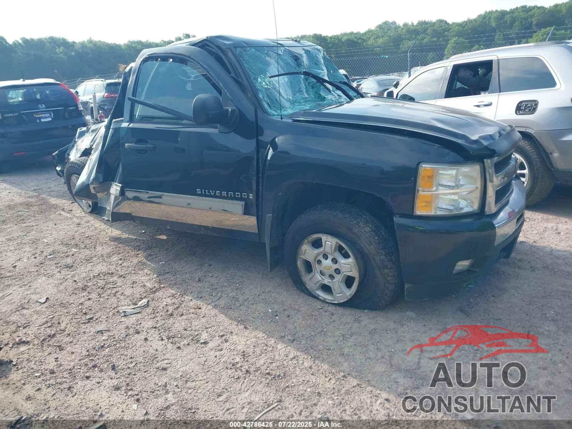 CHEVROLET SILVERADO 1500 2009 - 1GCEK29009Z277139