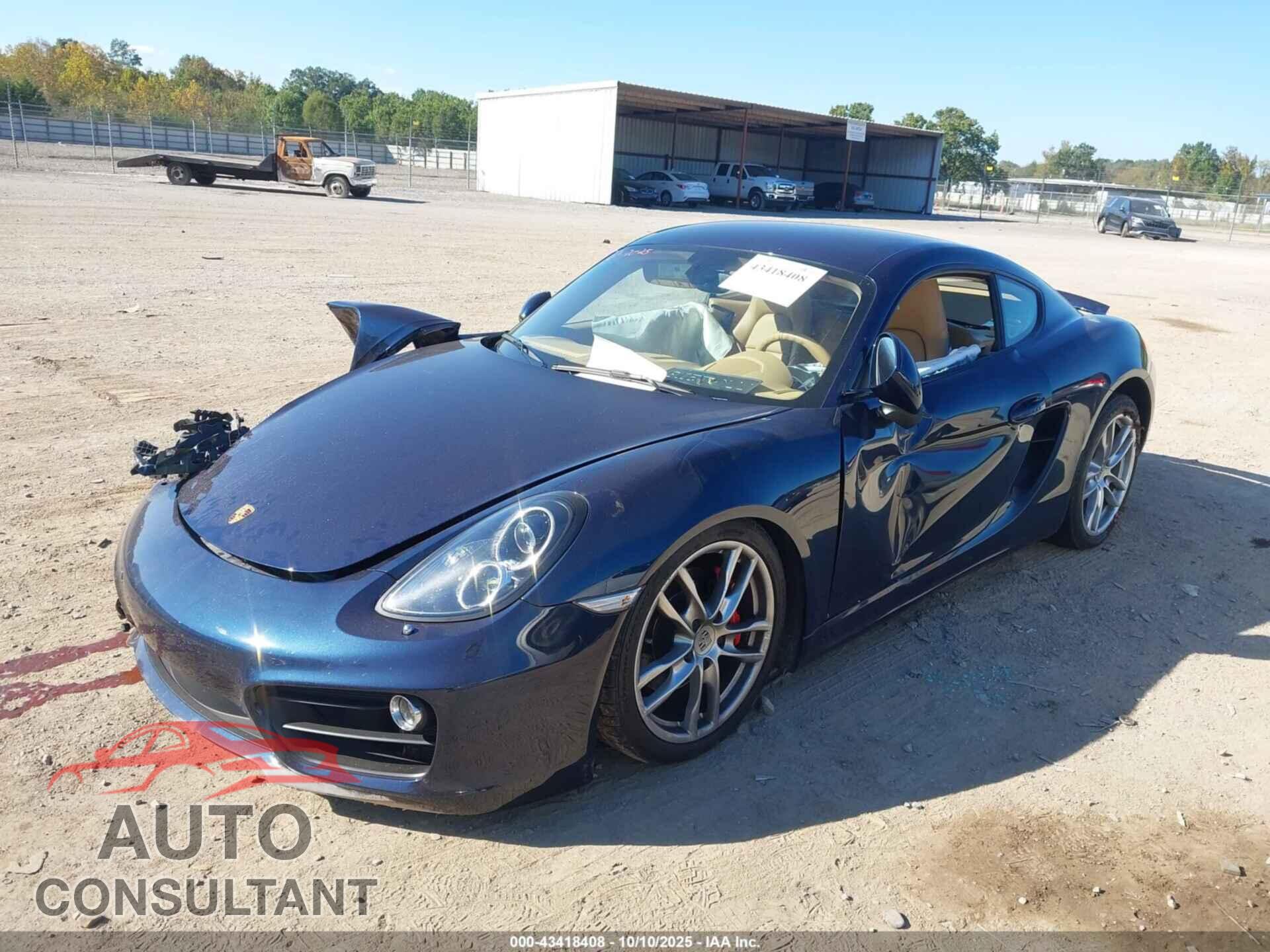 PORSCHE CAYMAN 2014 - WP0AB2A89EK190892