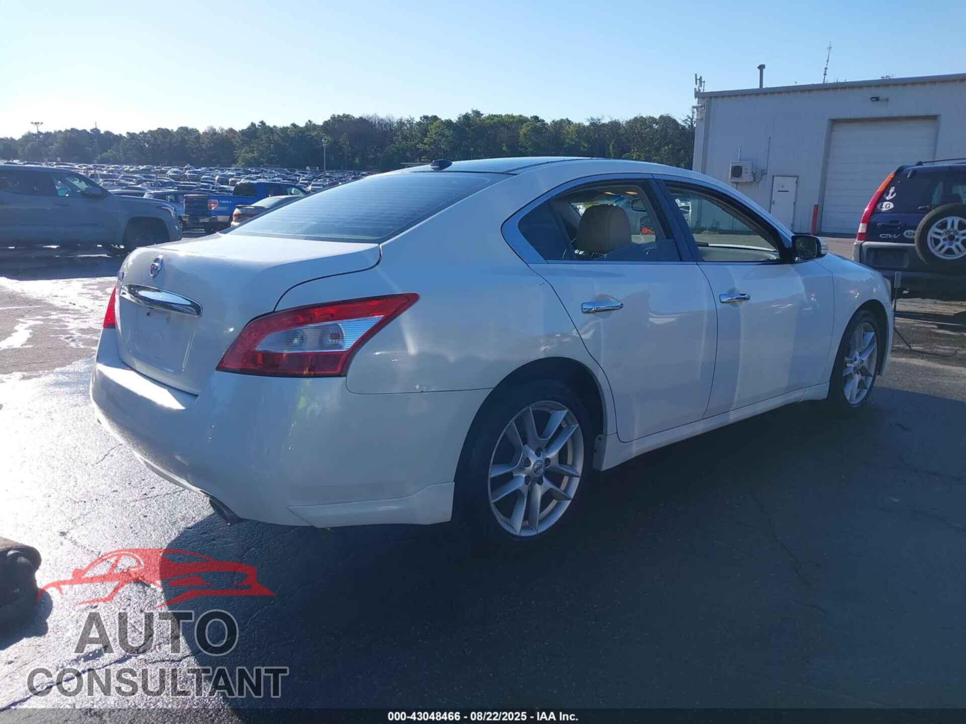 NISSAN MAXIMA 2011 - 1N4AA5AP2BC856238