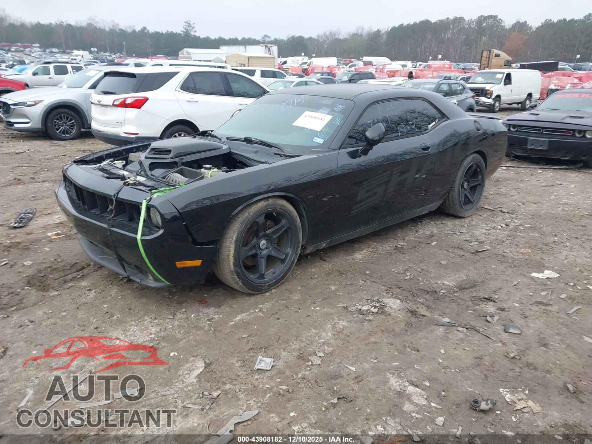 DODGE CHALLENGER 2014 - 2C3CDYBT0EH142489