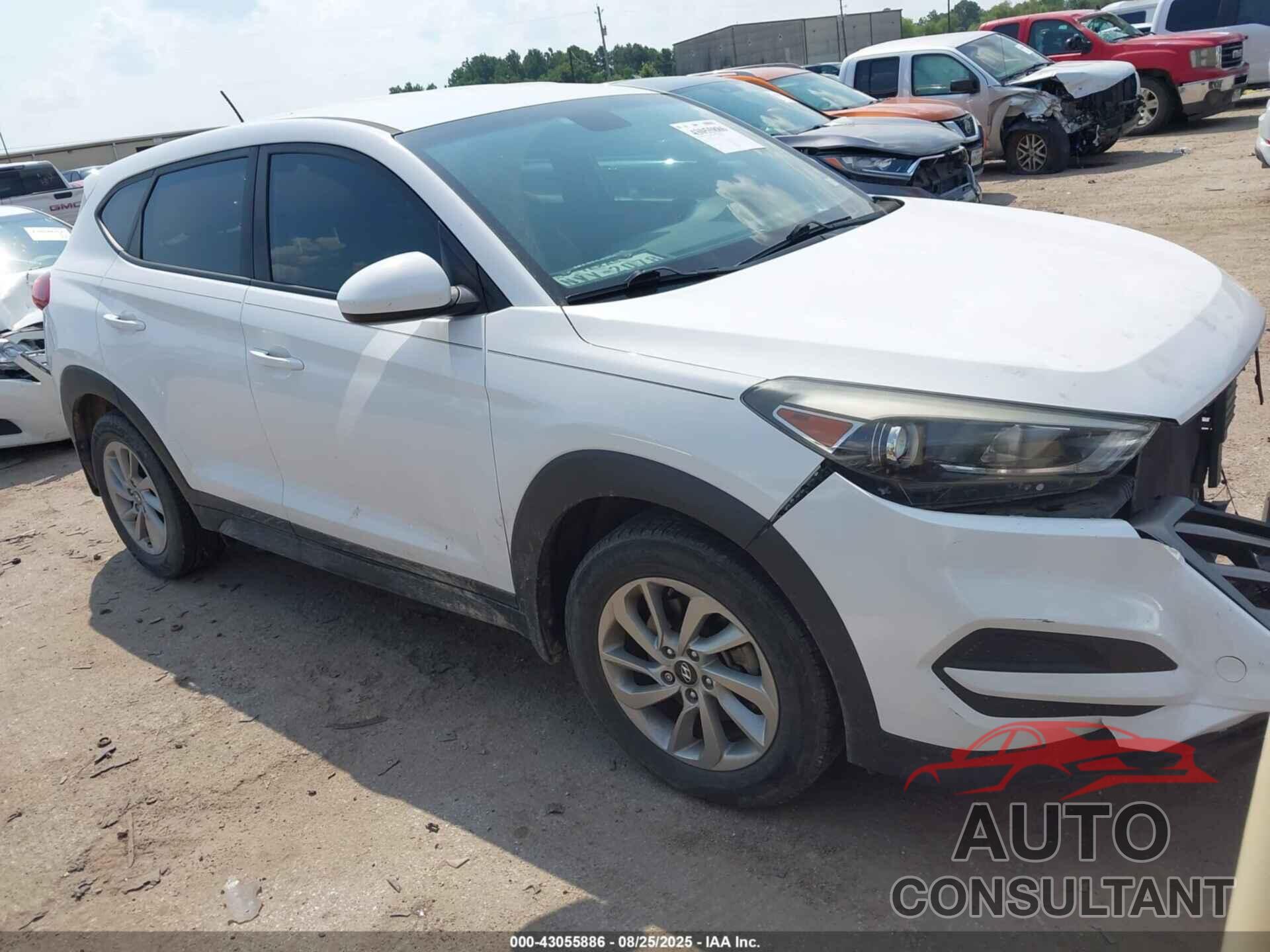HYUNDAI TUCSON 2016 - KM8J23A46GU231484