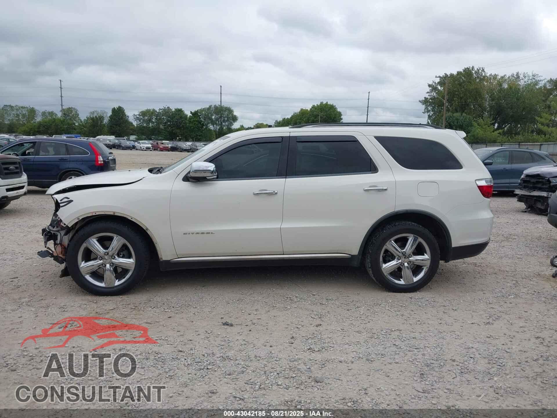 DODGE DURANGO 2011 - 1D4SE5GTXBC695423