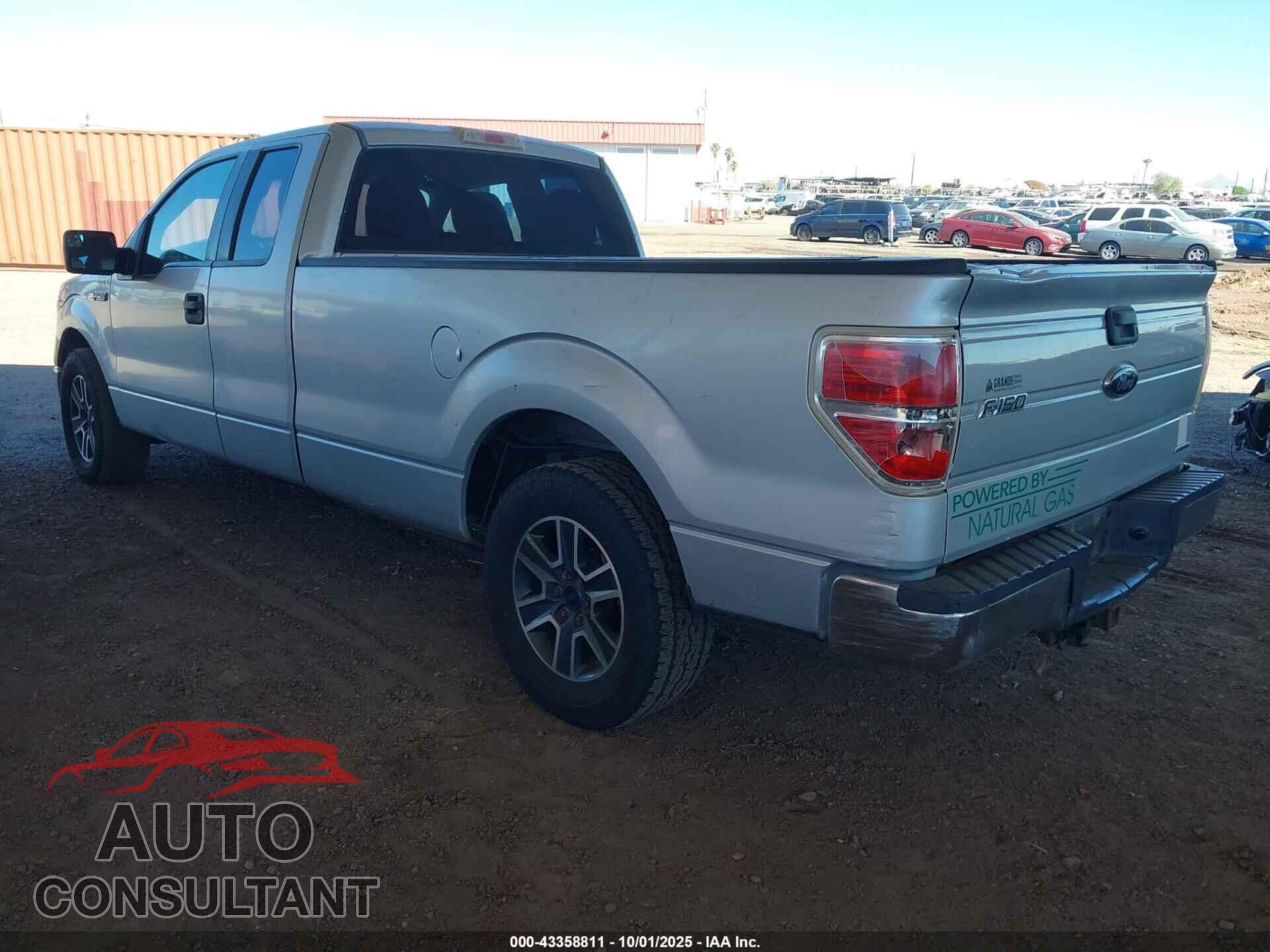 FORD F-150 2013 - 1FTFX1CF8DKF43652